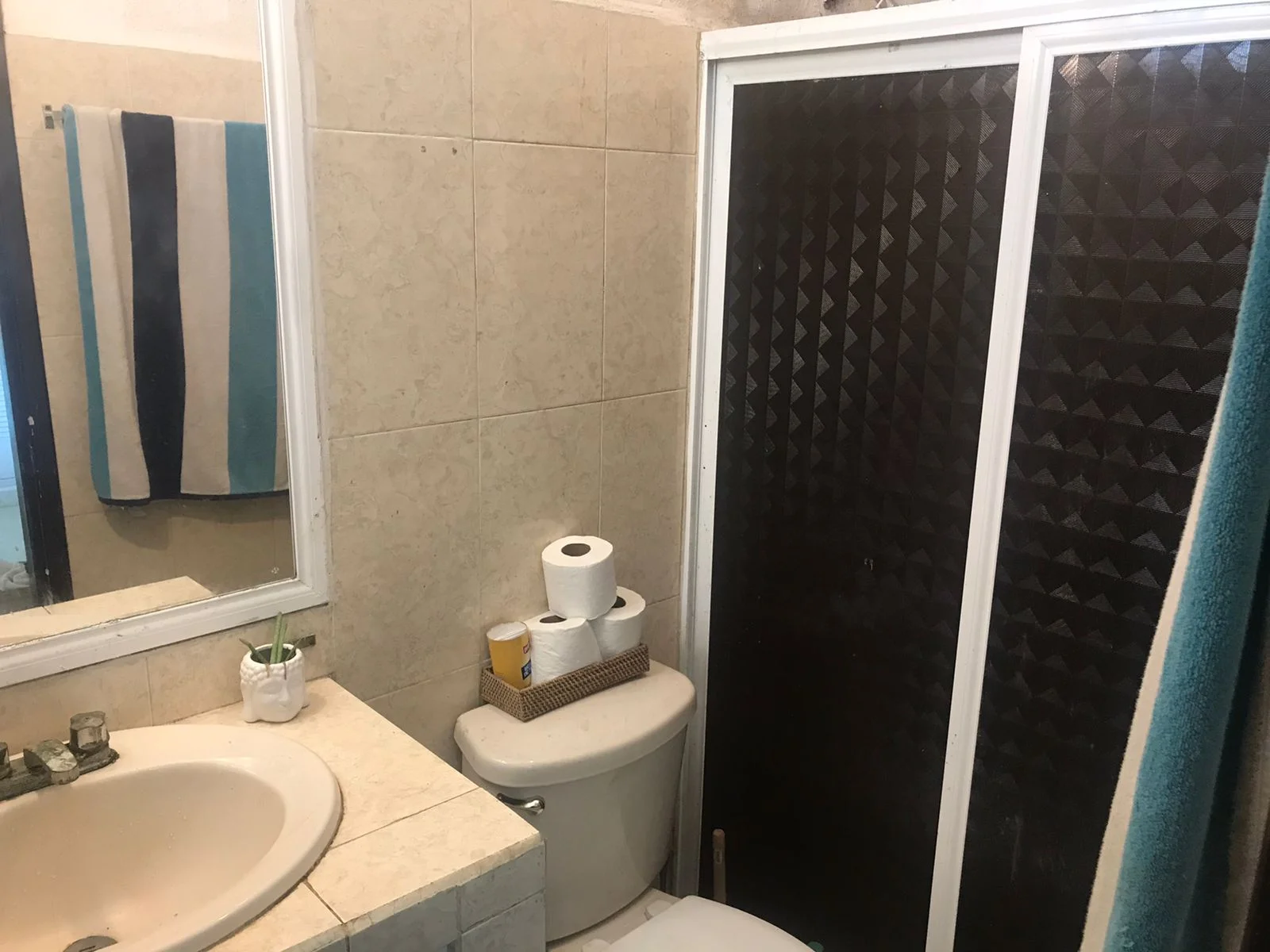 Apartment in Playa del Carmen - Female Roommate Wanted