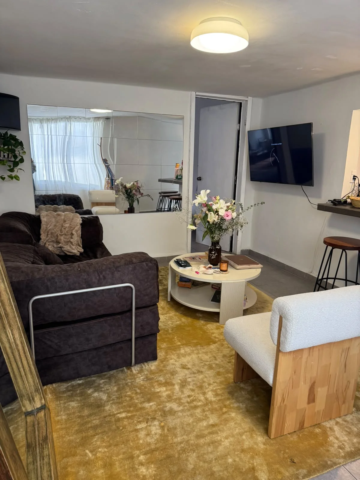 Furnished Apartment in Mexico City