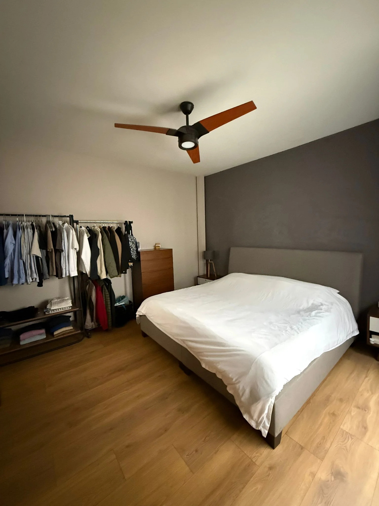 Furnished Suite in Roma Norte, Mexico City