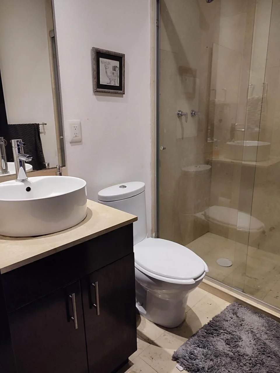 Furnished Apartment in Roma Sur