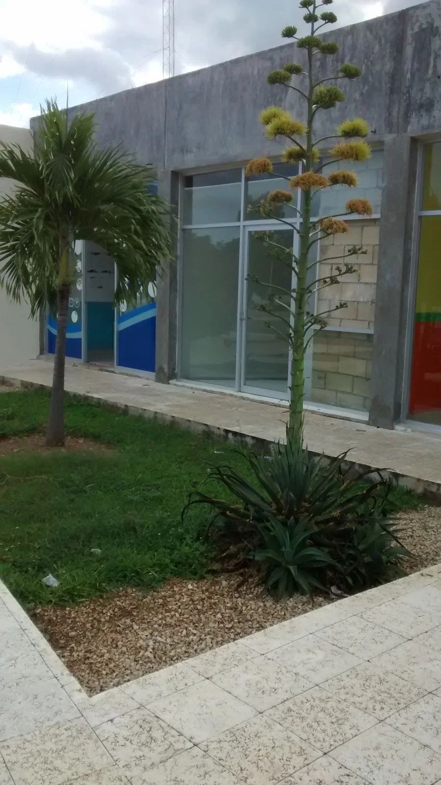 Three Bedroom House in Real Del Sol