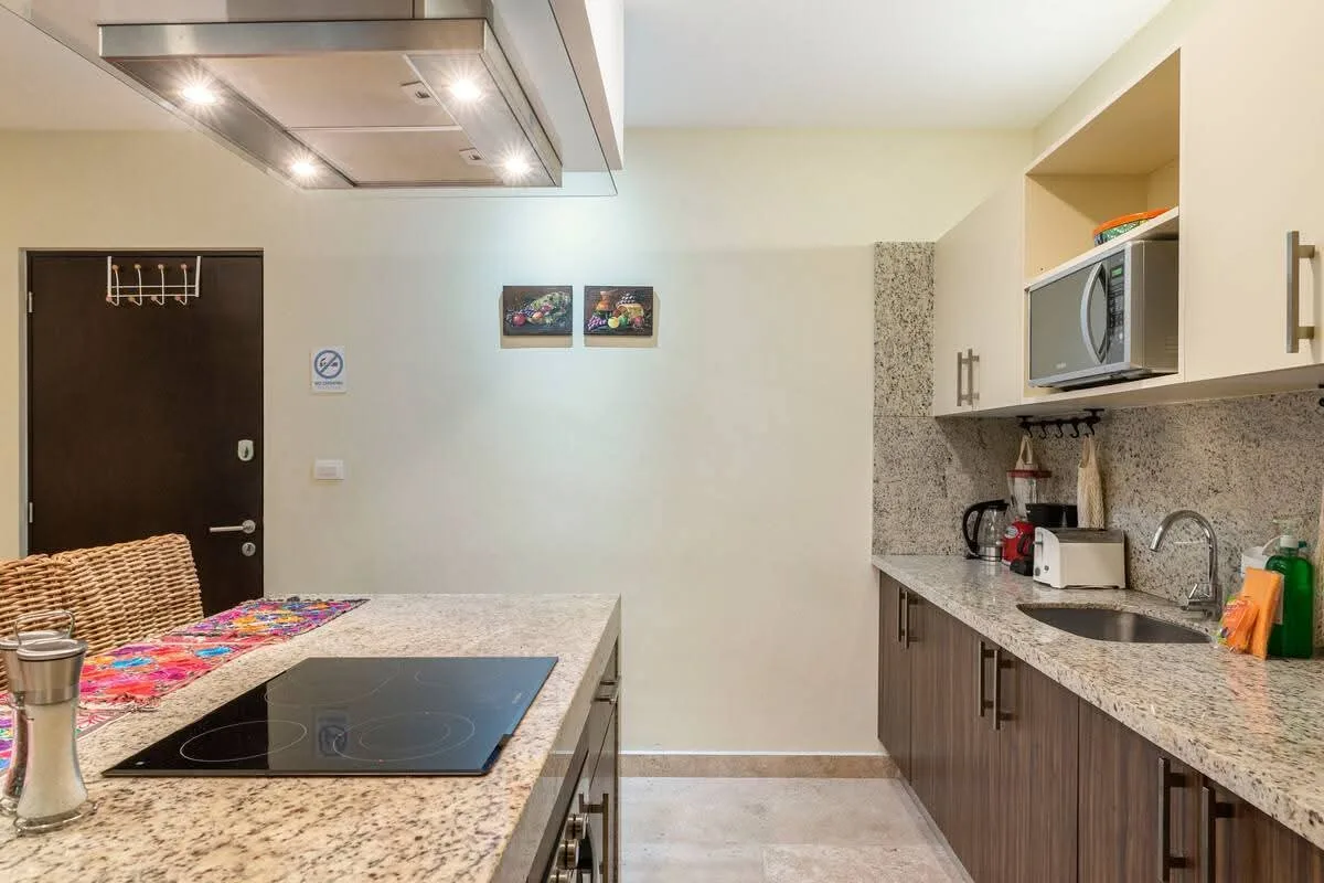 1 Bedroom Condo for Rent in Playa del Carmen