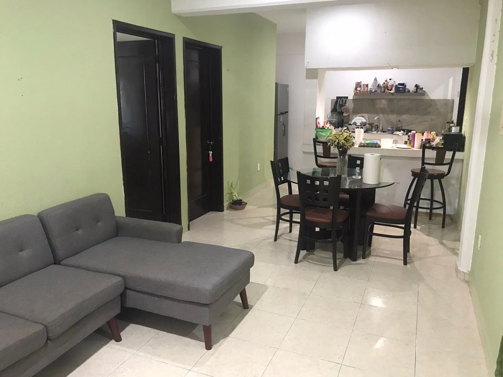 Apartment in Playa del Carmen - Female Roommate Wanted