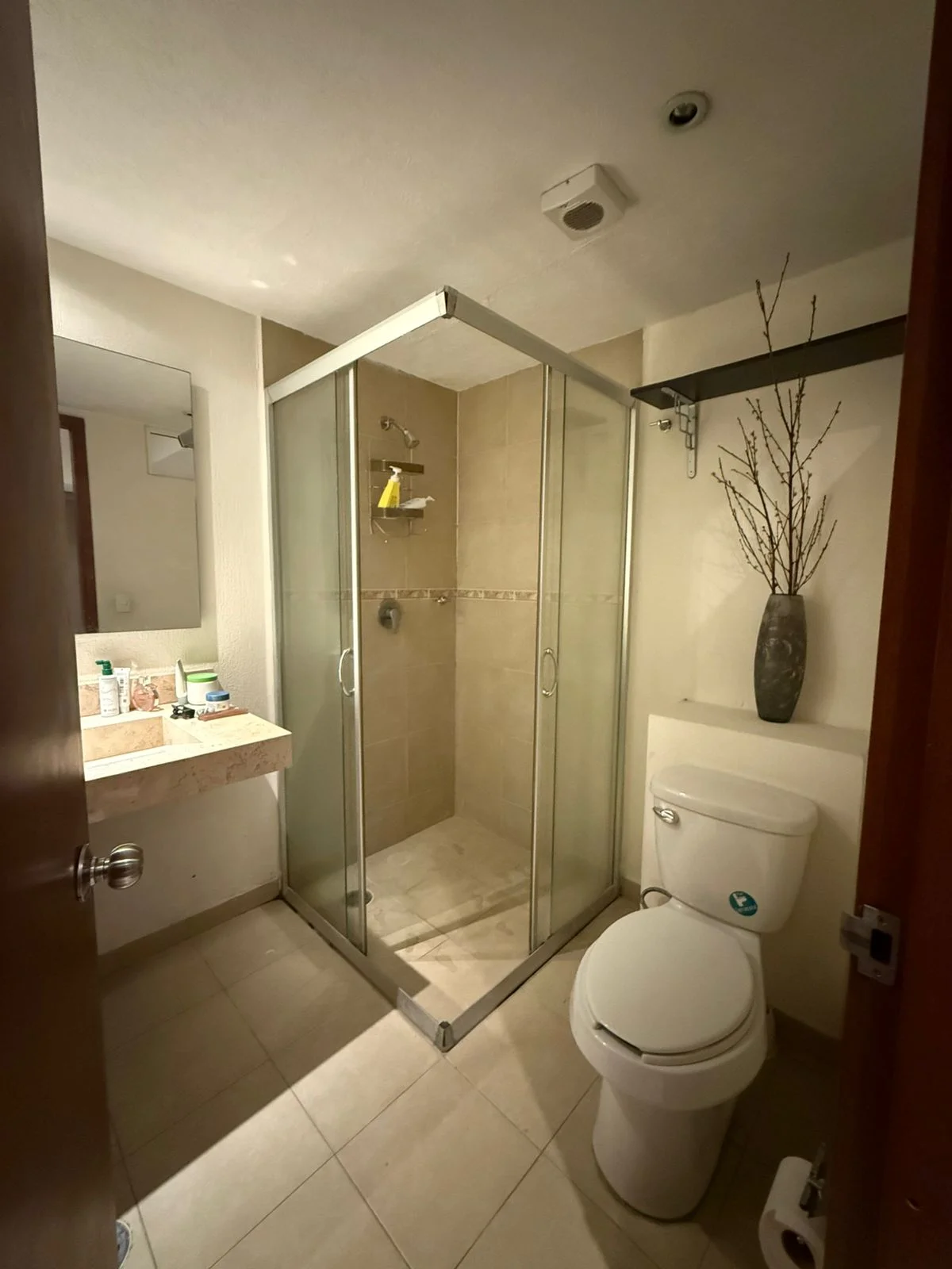 Apartment for Rent in Anahuac