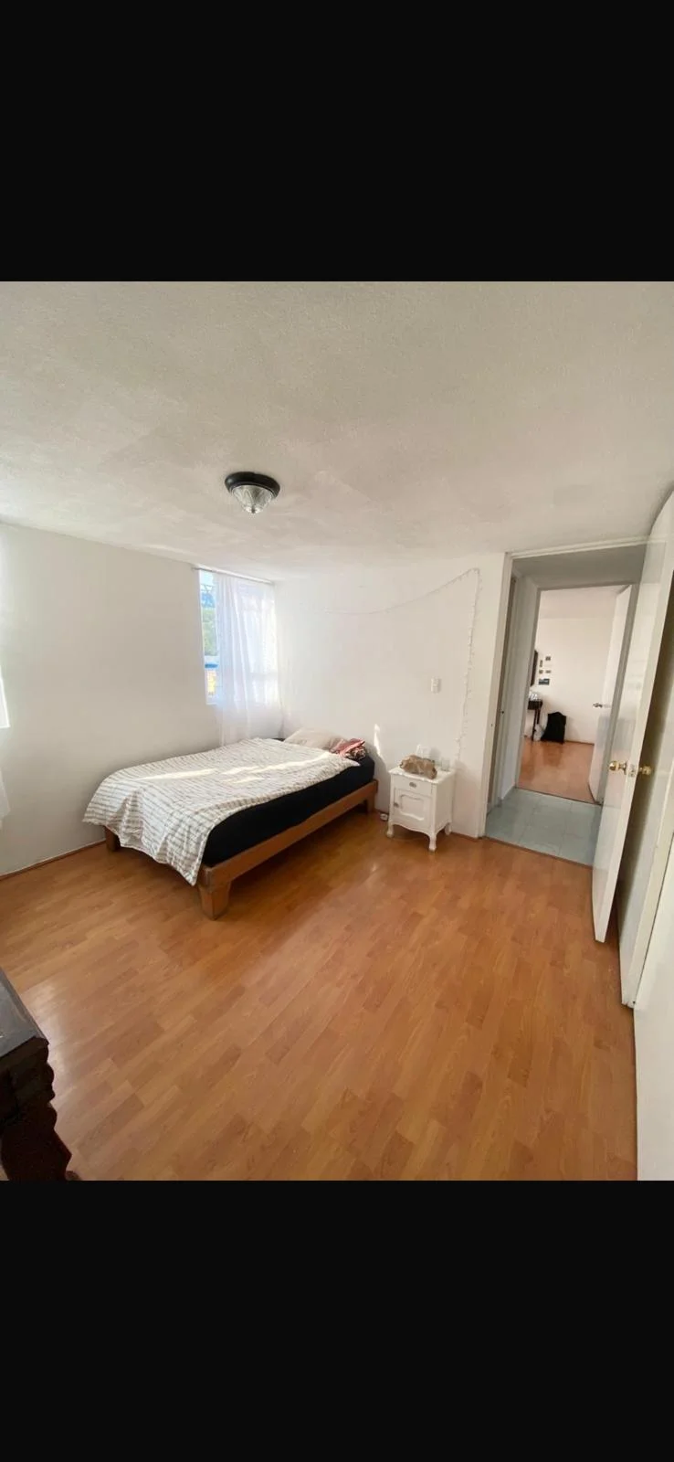 2 Bedroom Apartment in San Miguel de Chapultepec