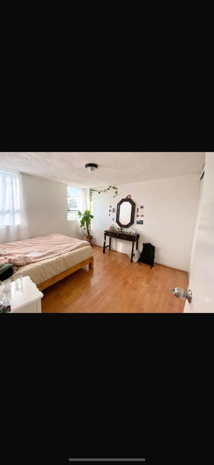 2 Bedroom Apartment in San Miguel de Chapultepec