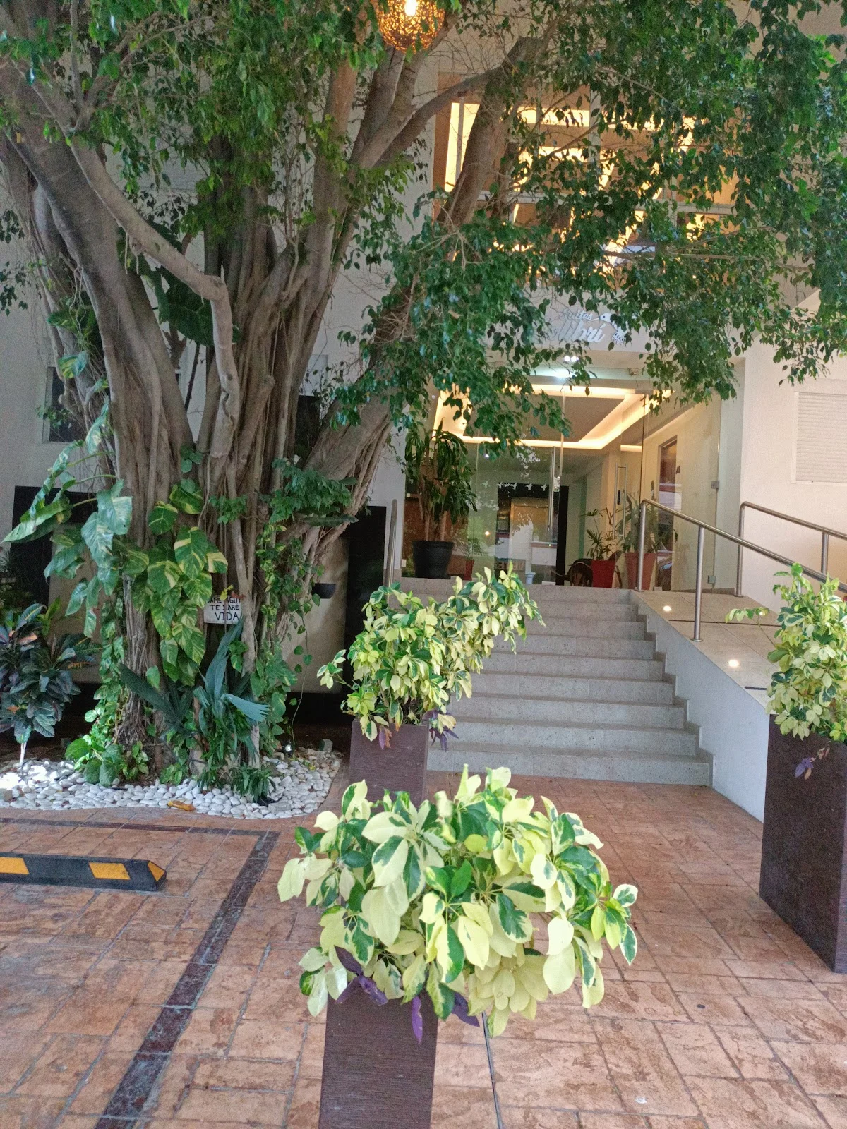 Furnished 1BR Apartment Near Centro - $15,000 MXN