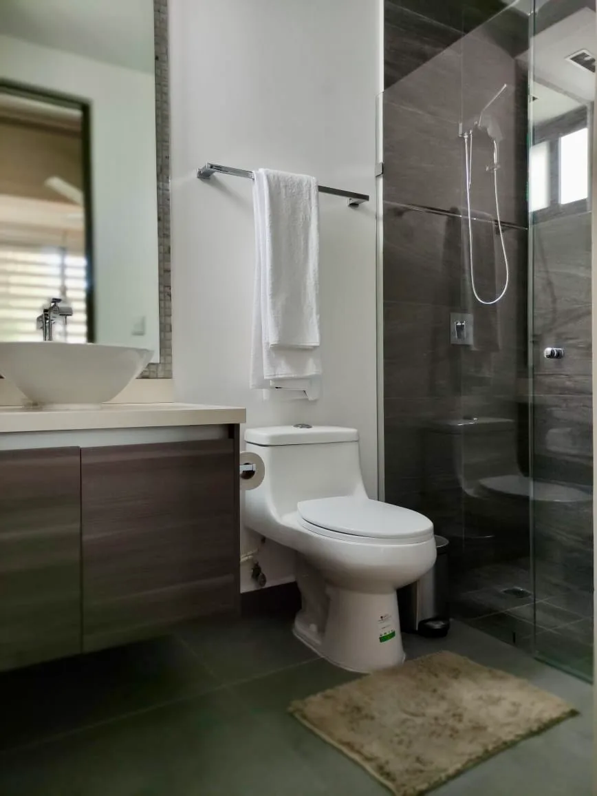 1 Bedroom Condo for Rent in Colonia Hollywood