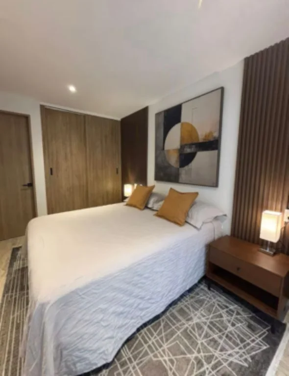 Furnished Apartment in Roma Norte