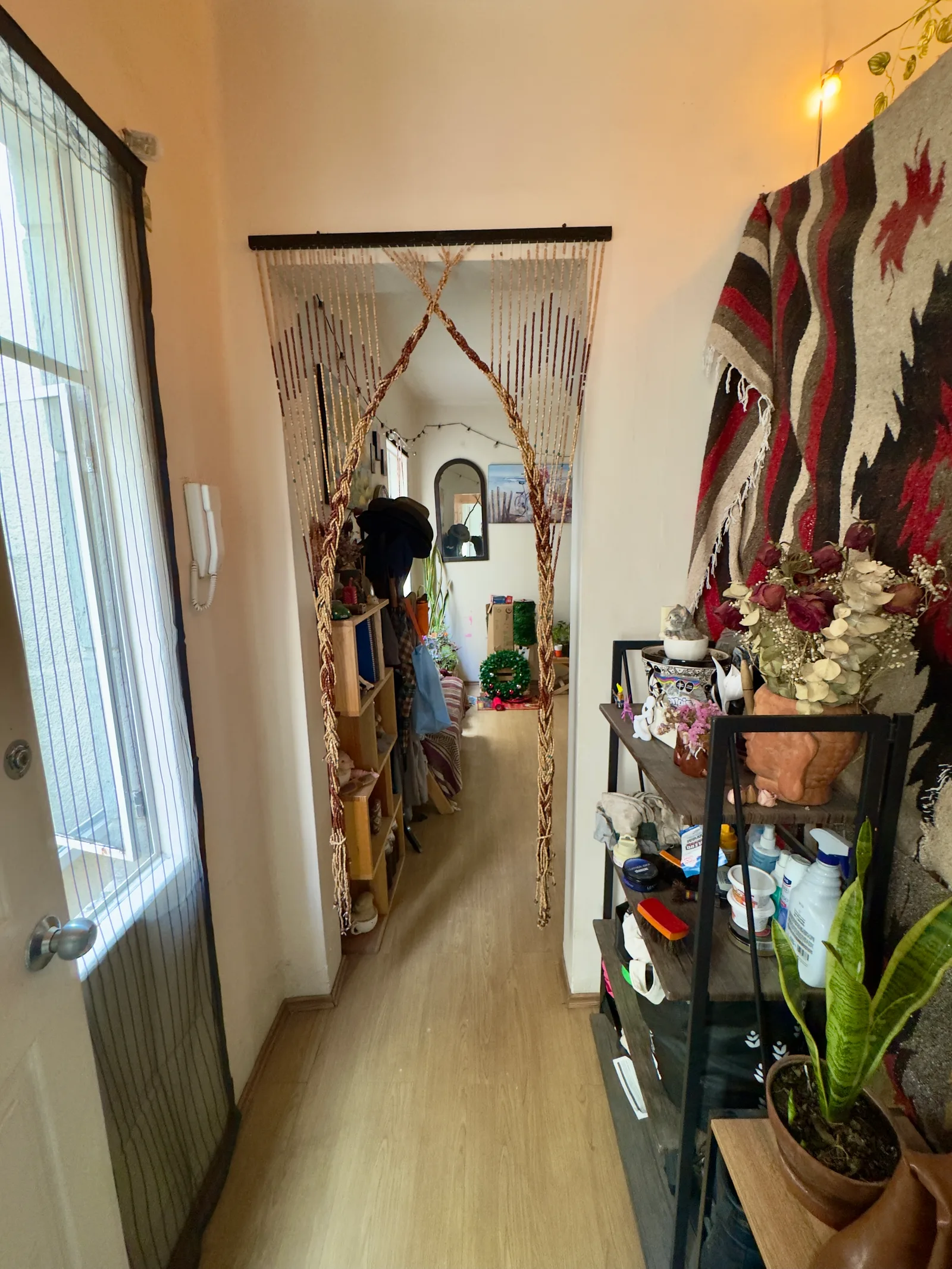 Apartment in Condesa