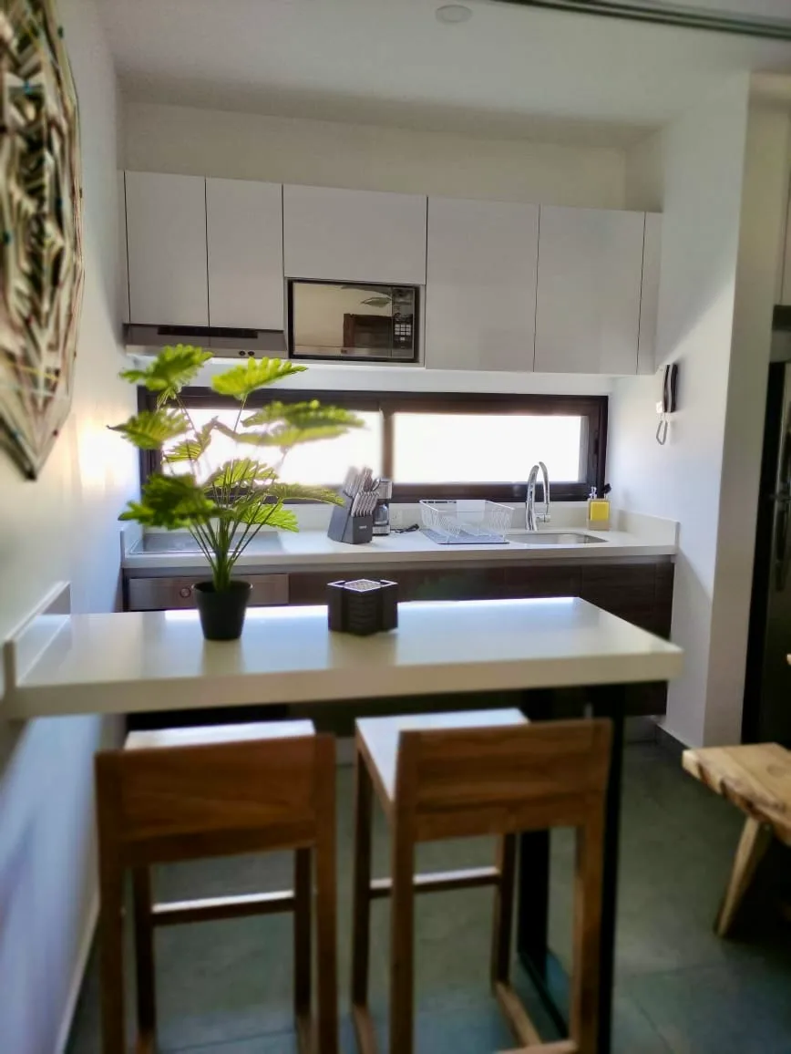 1 Bedroom Condo for Rent in Colonia Hollywood