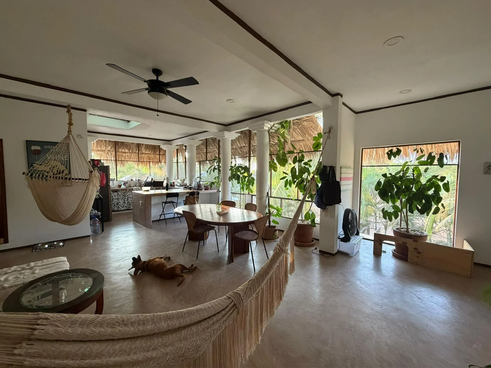 3 Bedroom House for Rent in Mexico with Pet Space