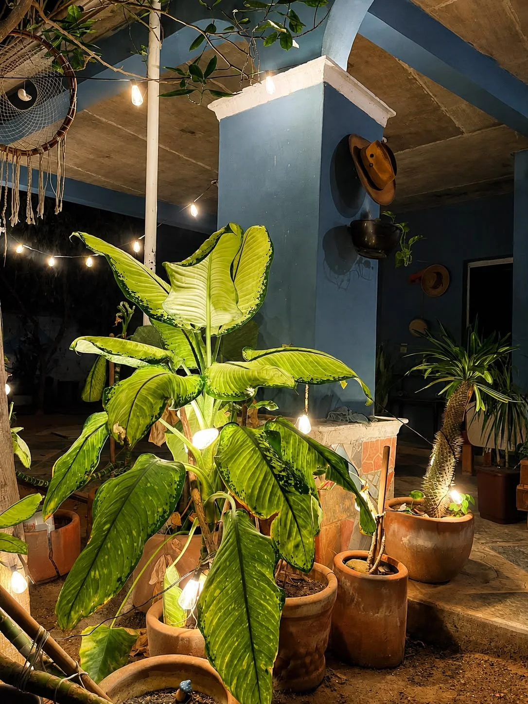 Room for Rent in Puerto Escondido