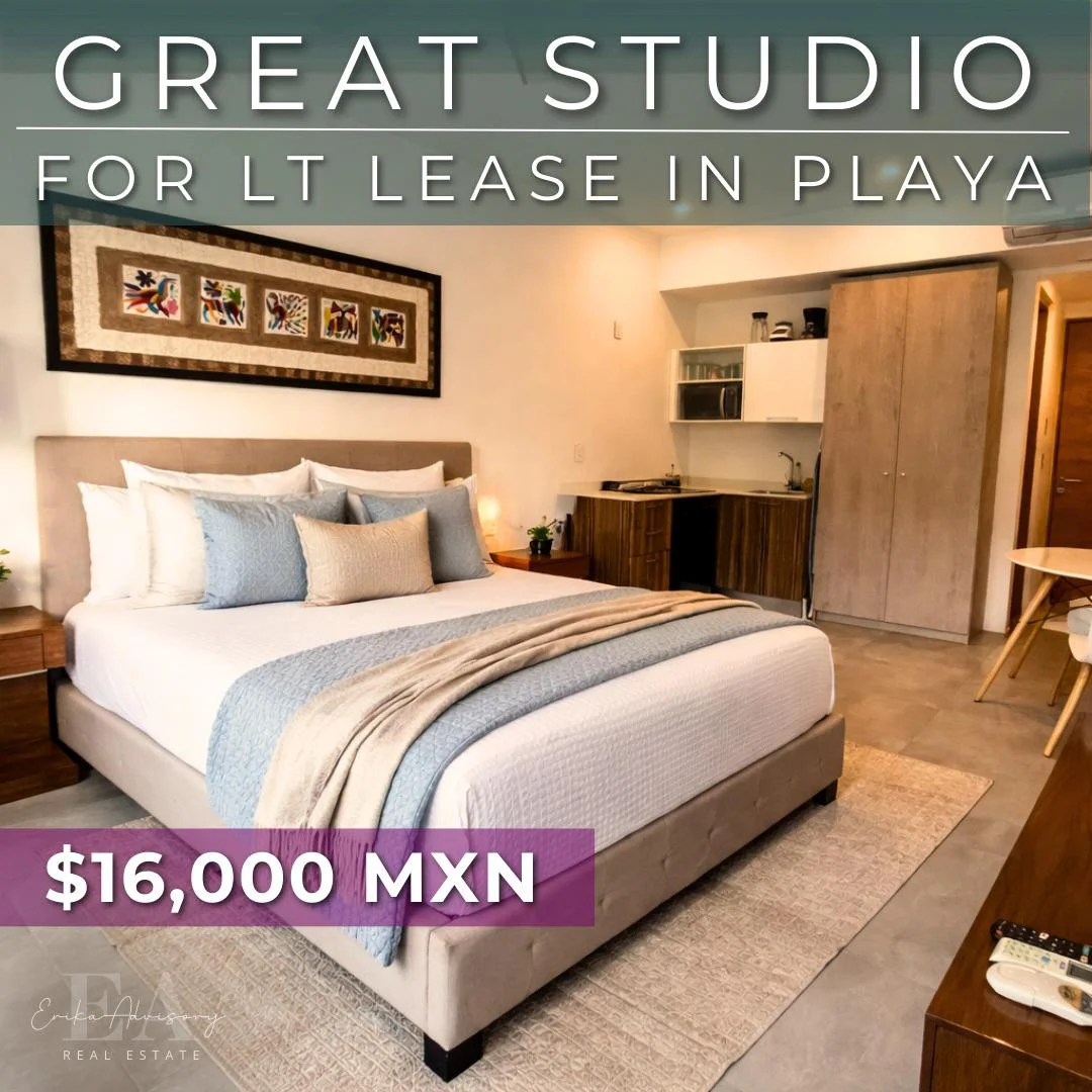 Studio apartment in Centro