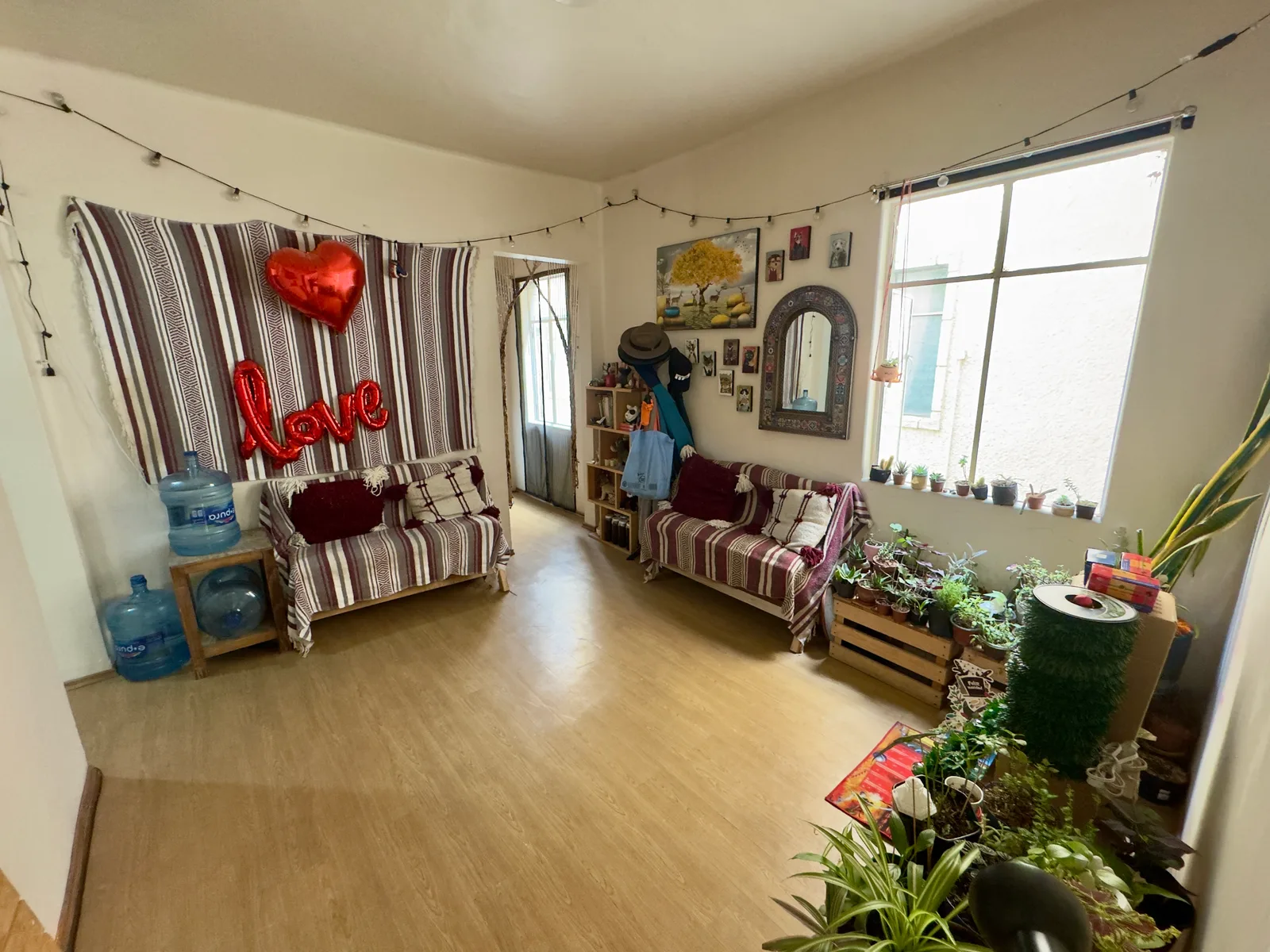 Apartment in Condesa