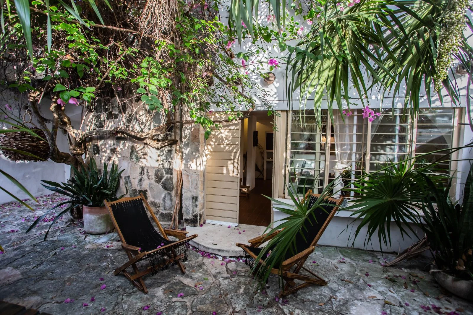 House for Rent in Colosio Near Beach