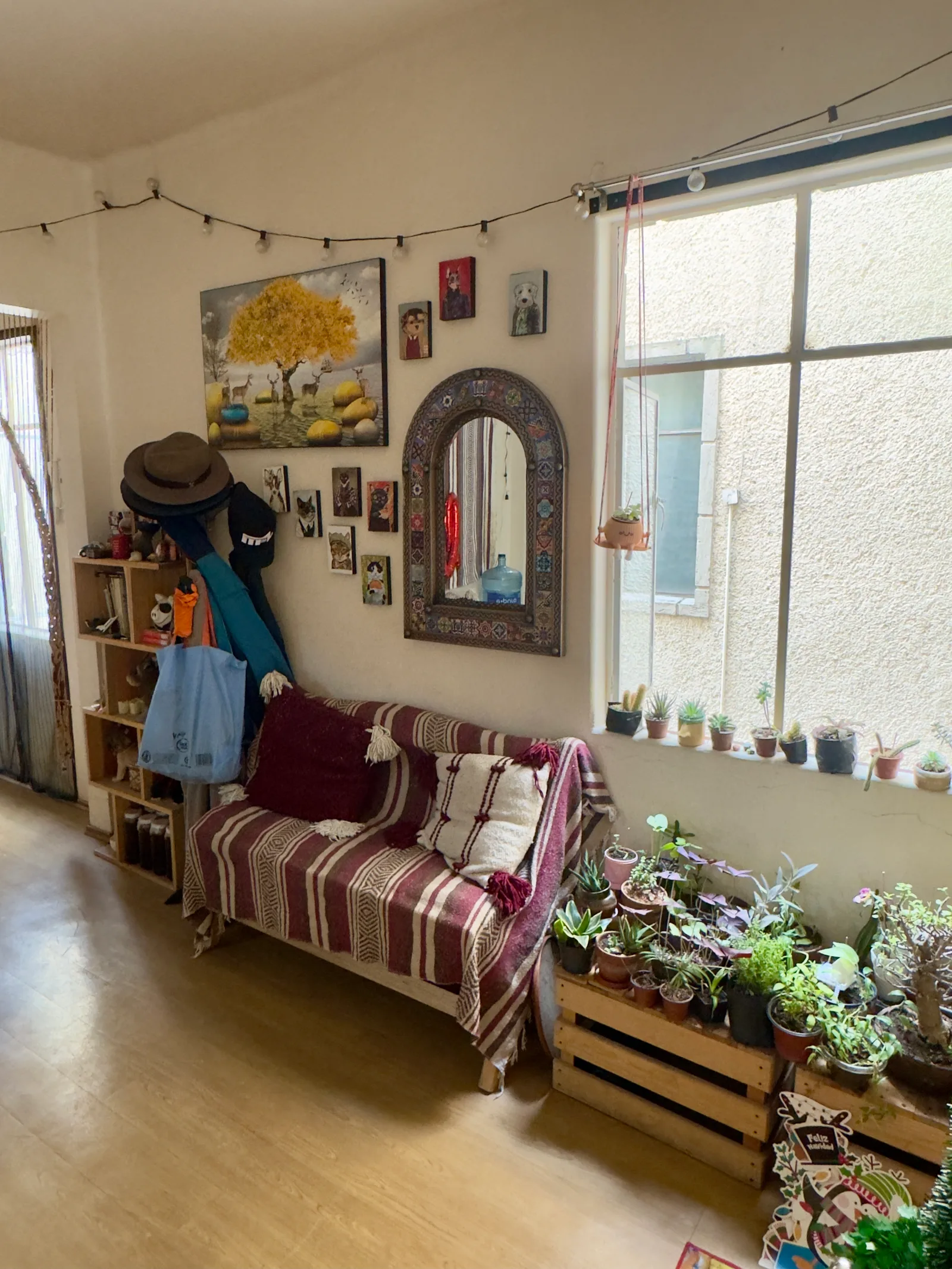 Apartment in Condesa
