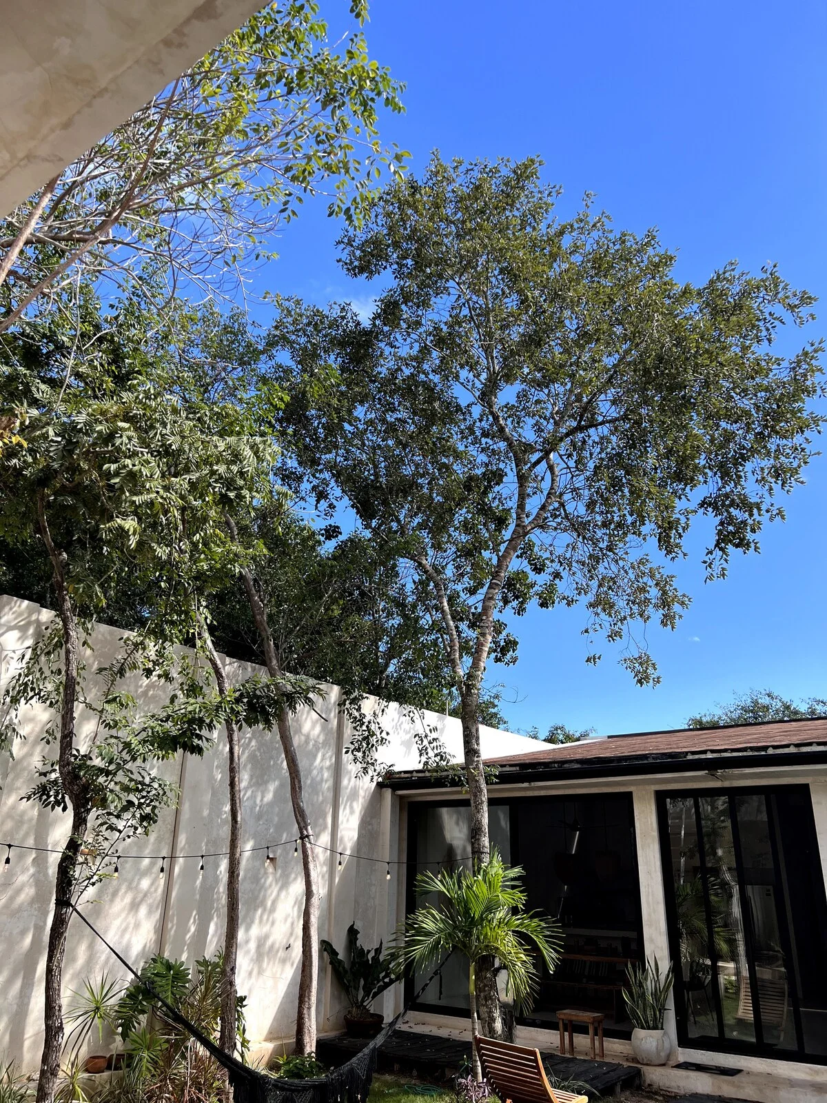Villa in Holistika Veleta Tulum | 2 Bedrooms with Pool