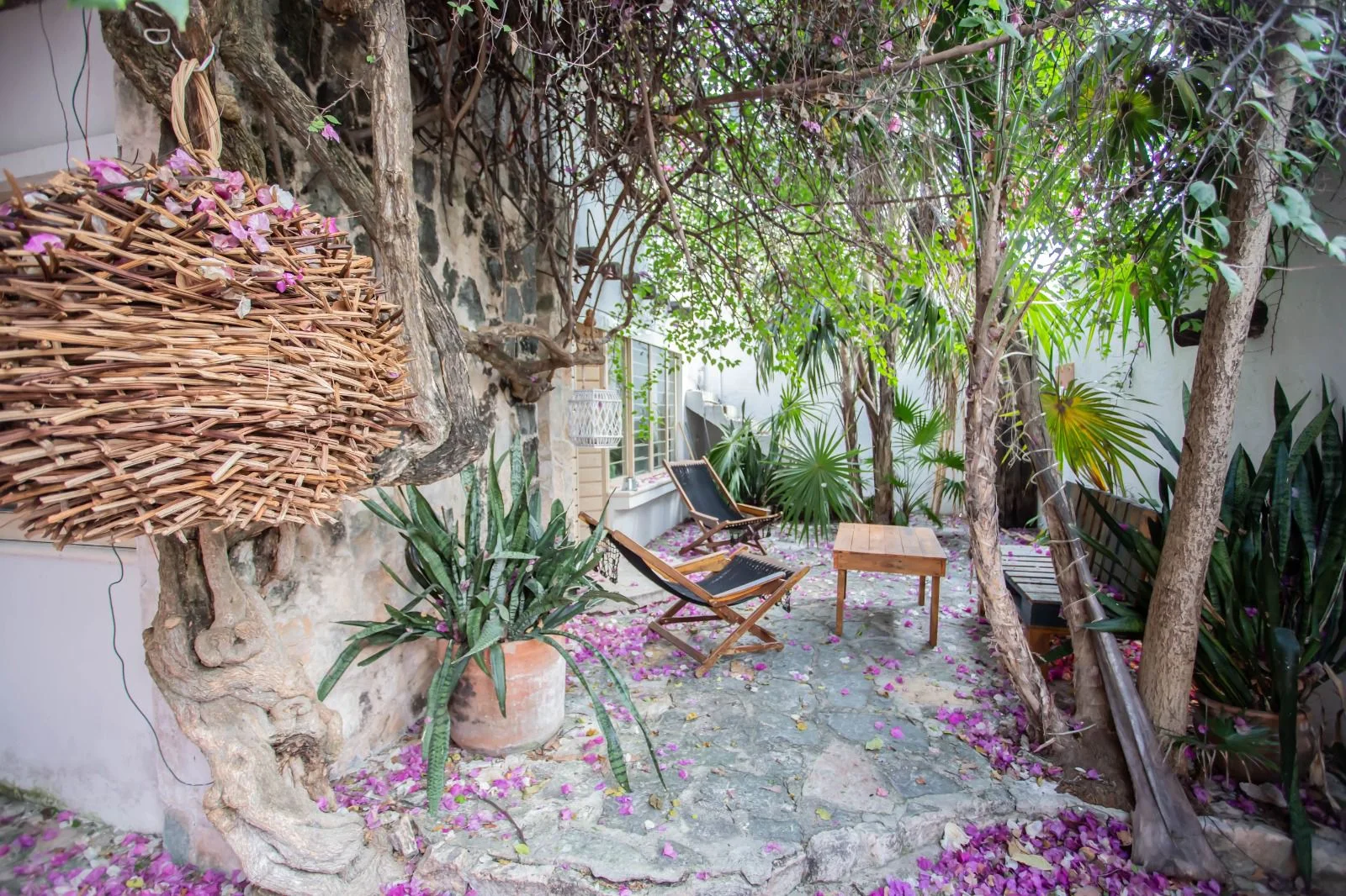 House for Rent in Colosio Near Beach