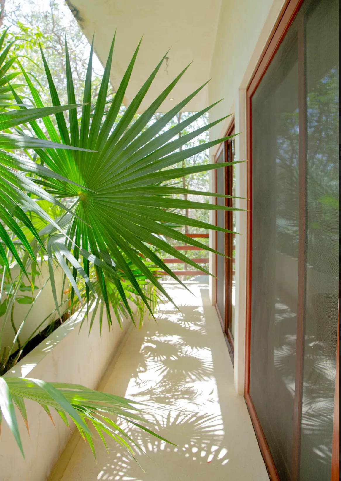 Apartment in Holistika