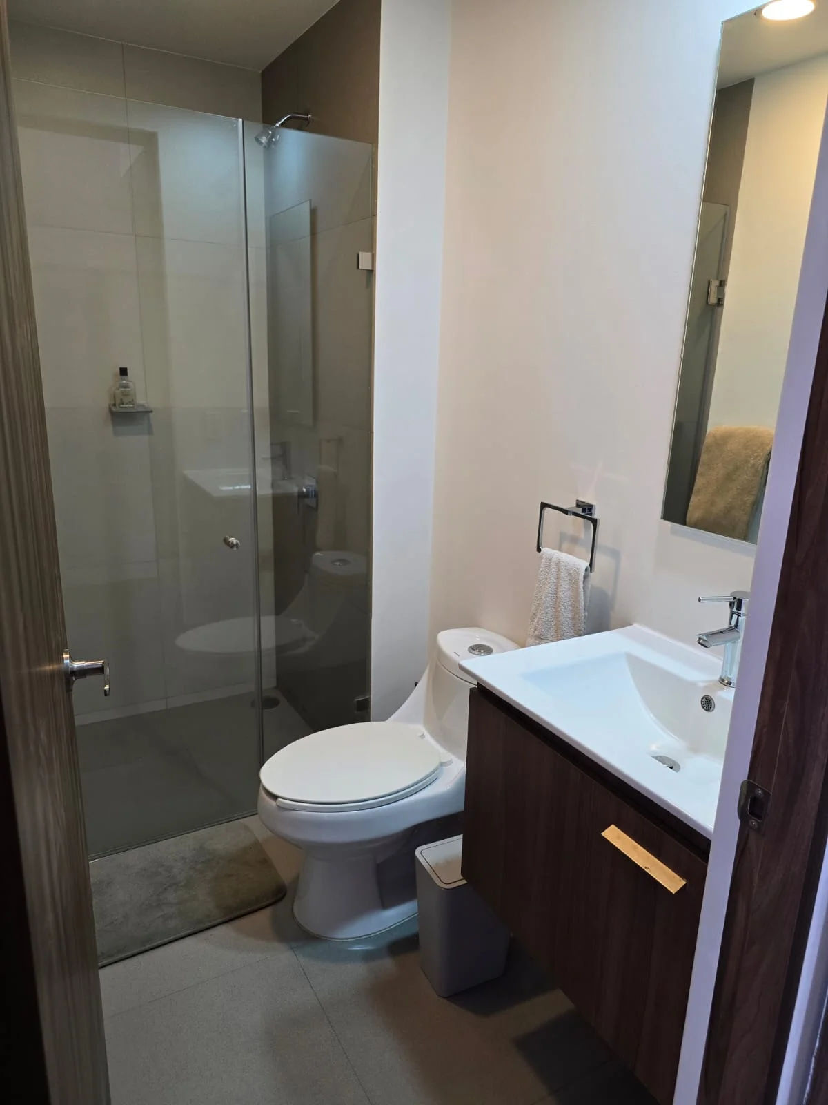 Master Bedroom in Doctores Apartment