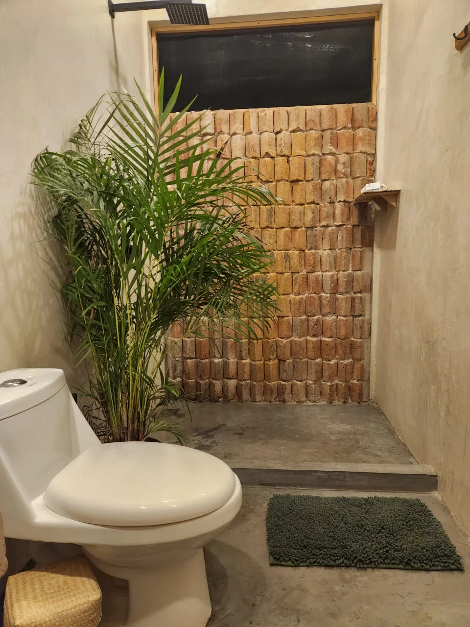 Apartment for Rent in Puerto Escondido