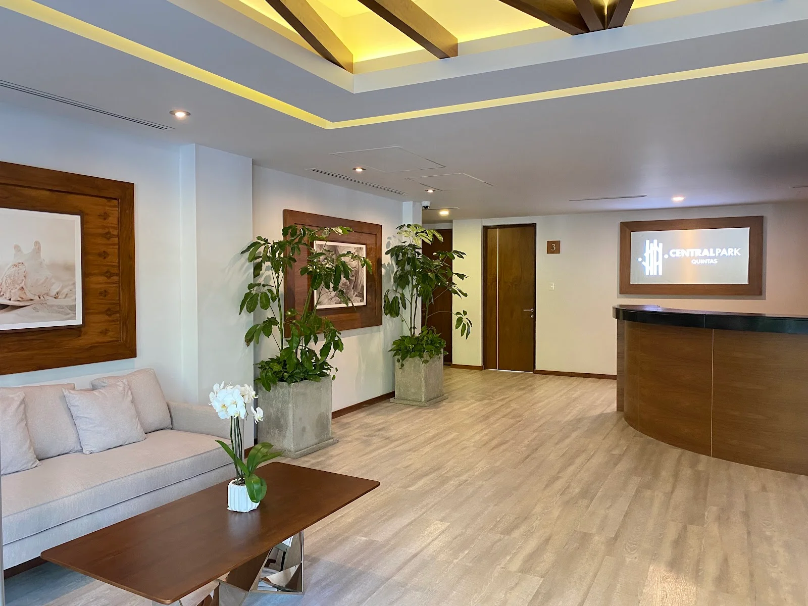 Furnished Studio Near Central Park | Playa del Carmen