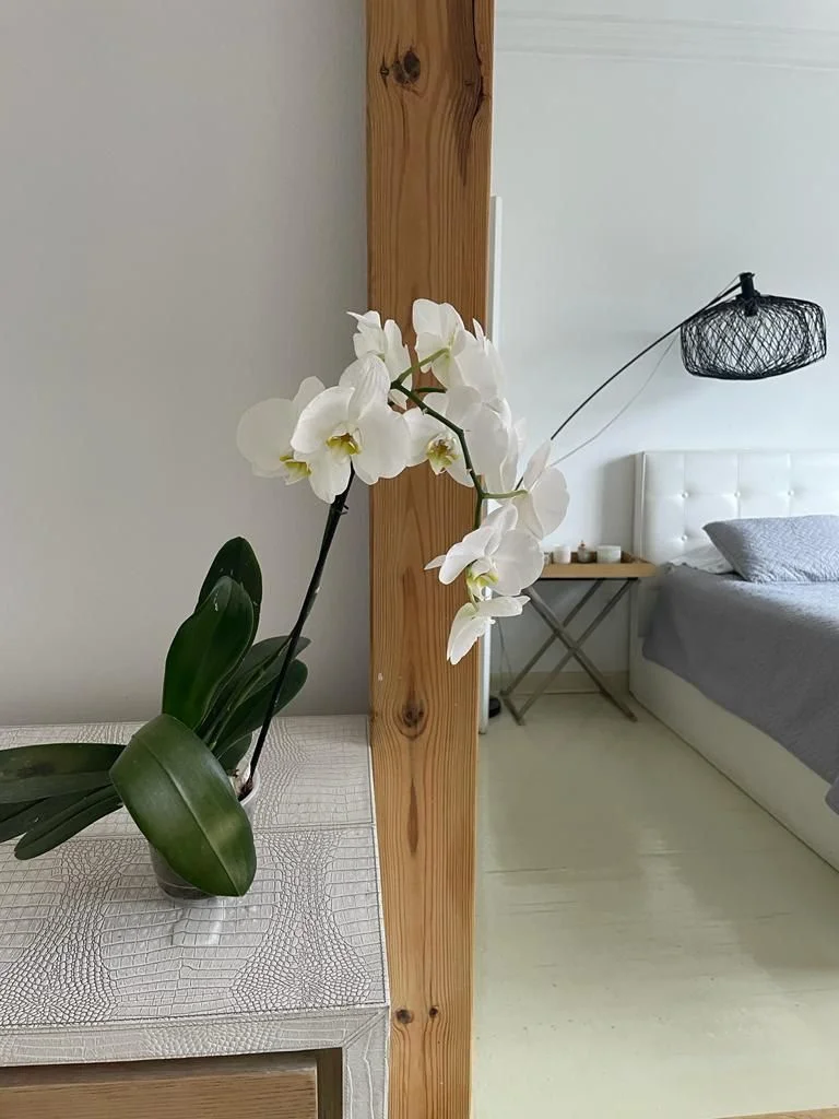 Apartment in Condesa, Mexico City