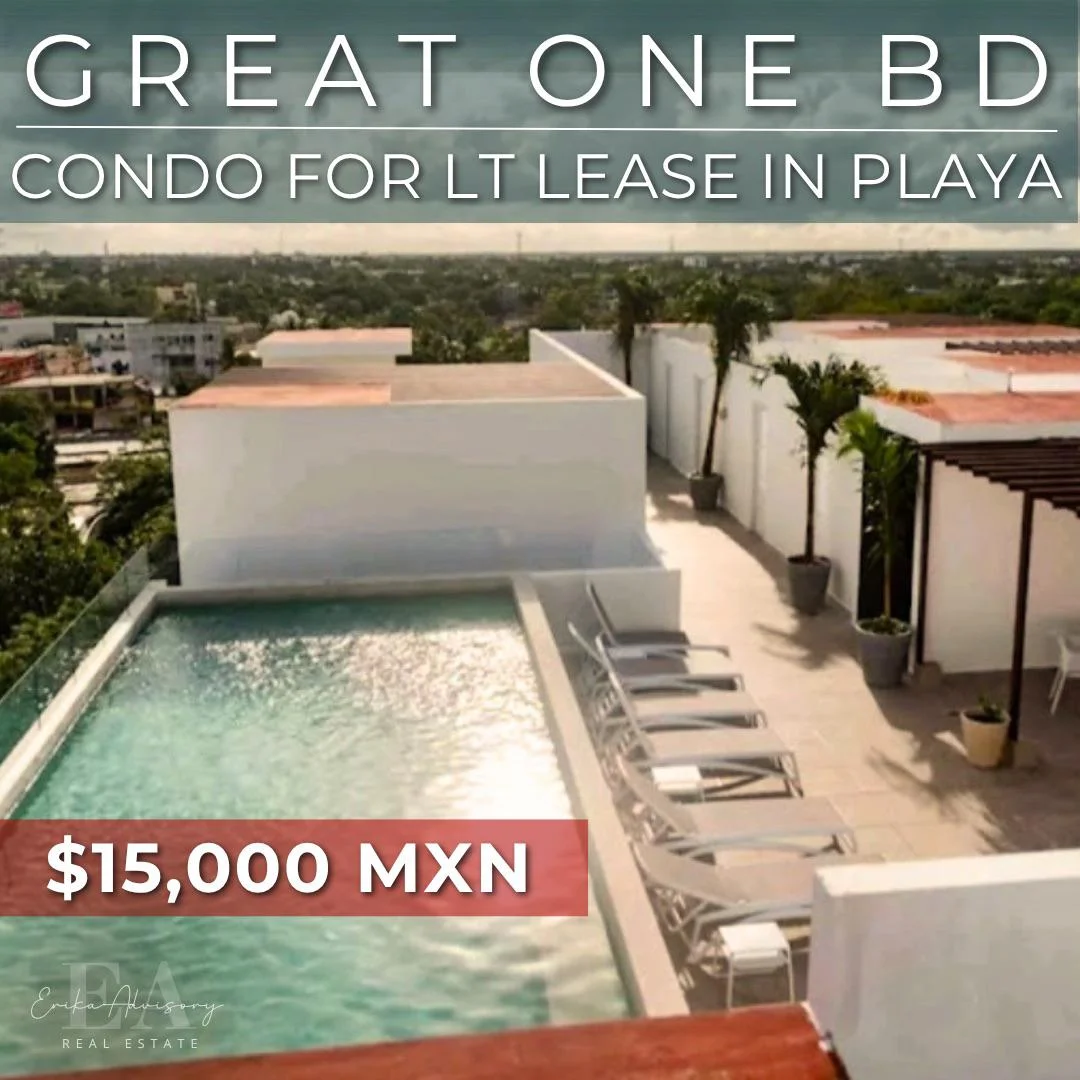 Furnished 1BR Apartment Near Centro - $15,000 MXN