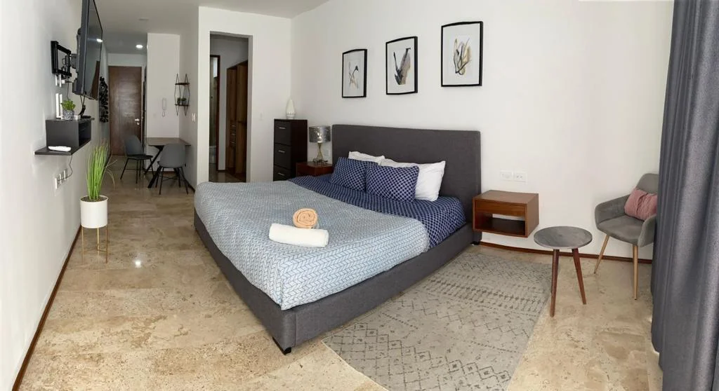 Studio Apartment in Centro