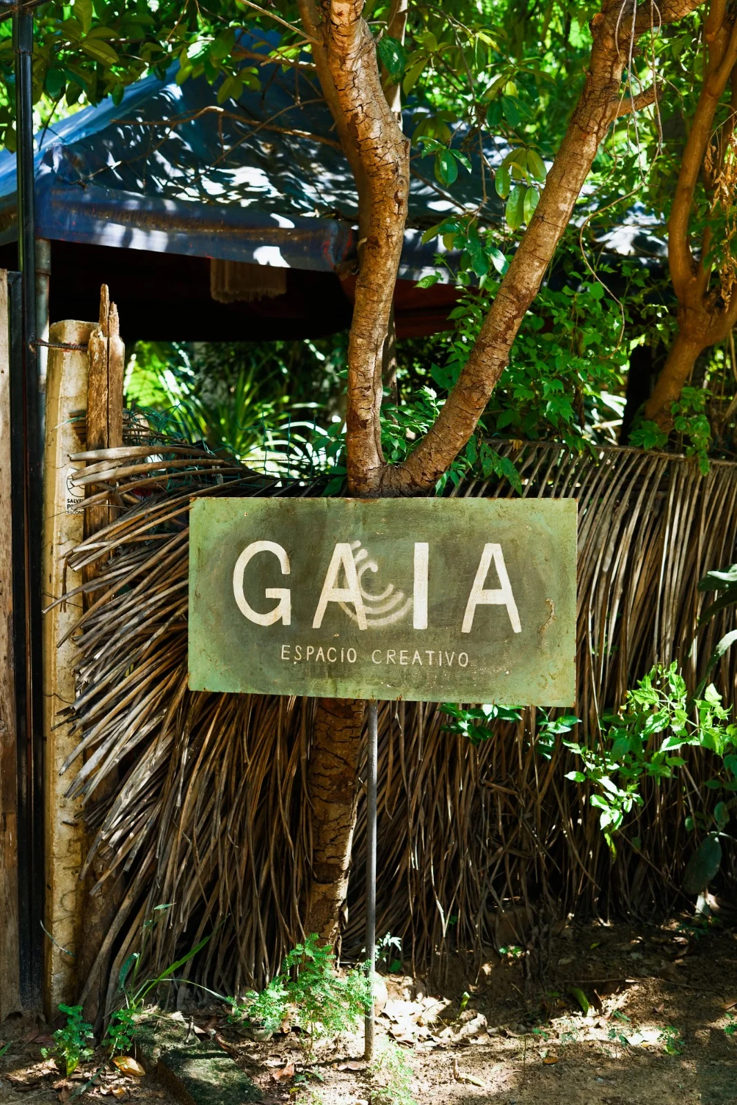 Shared Room in La Punta