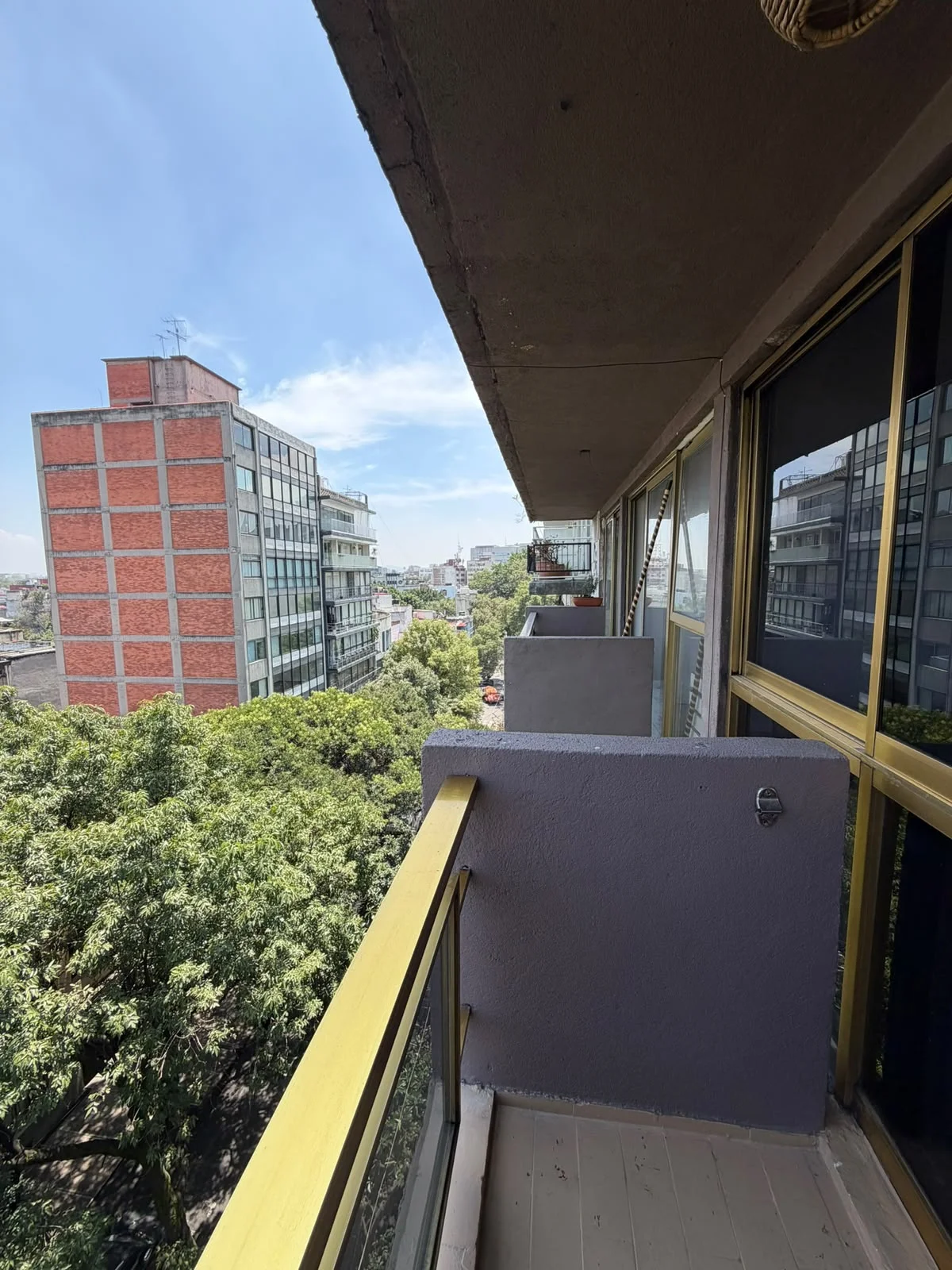 Furnished Apartment in Mexico City