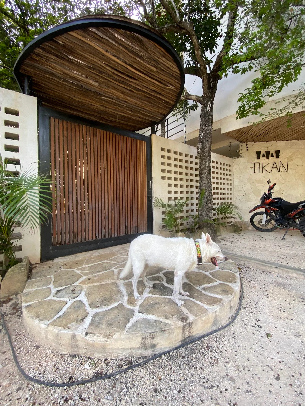 2 Bedroom Apartment in Tulum