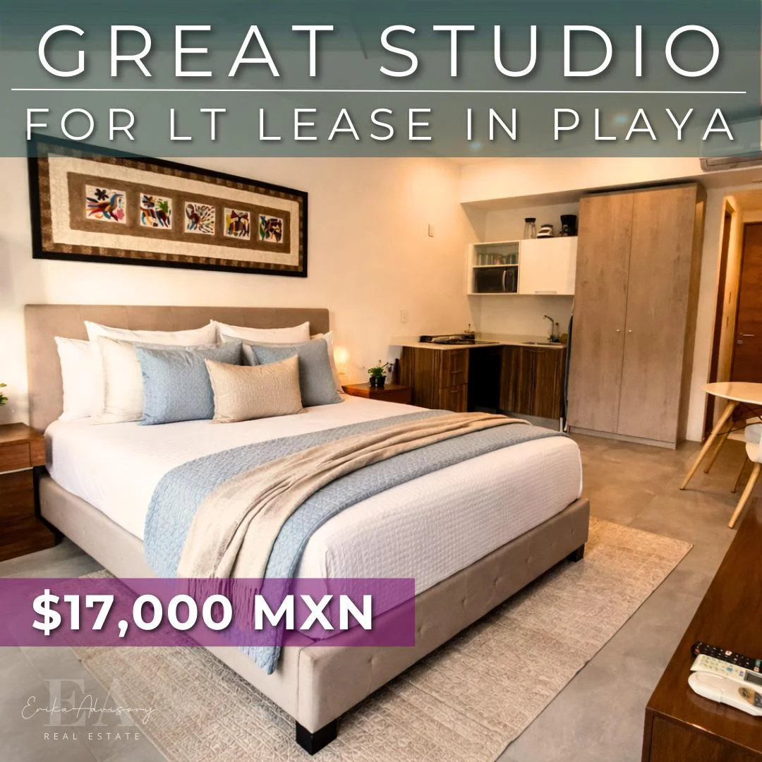 Studio Apartment in Centro