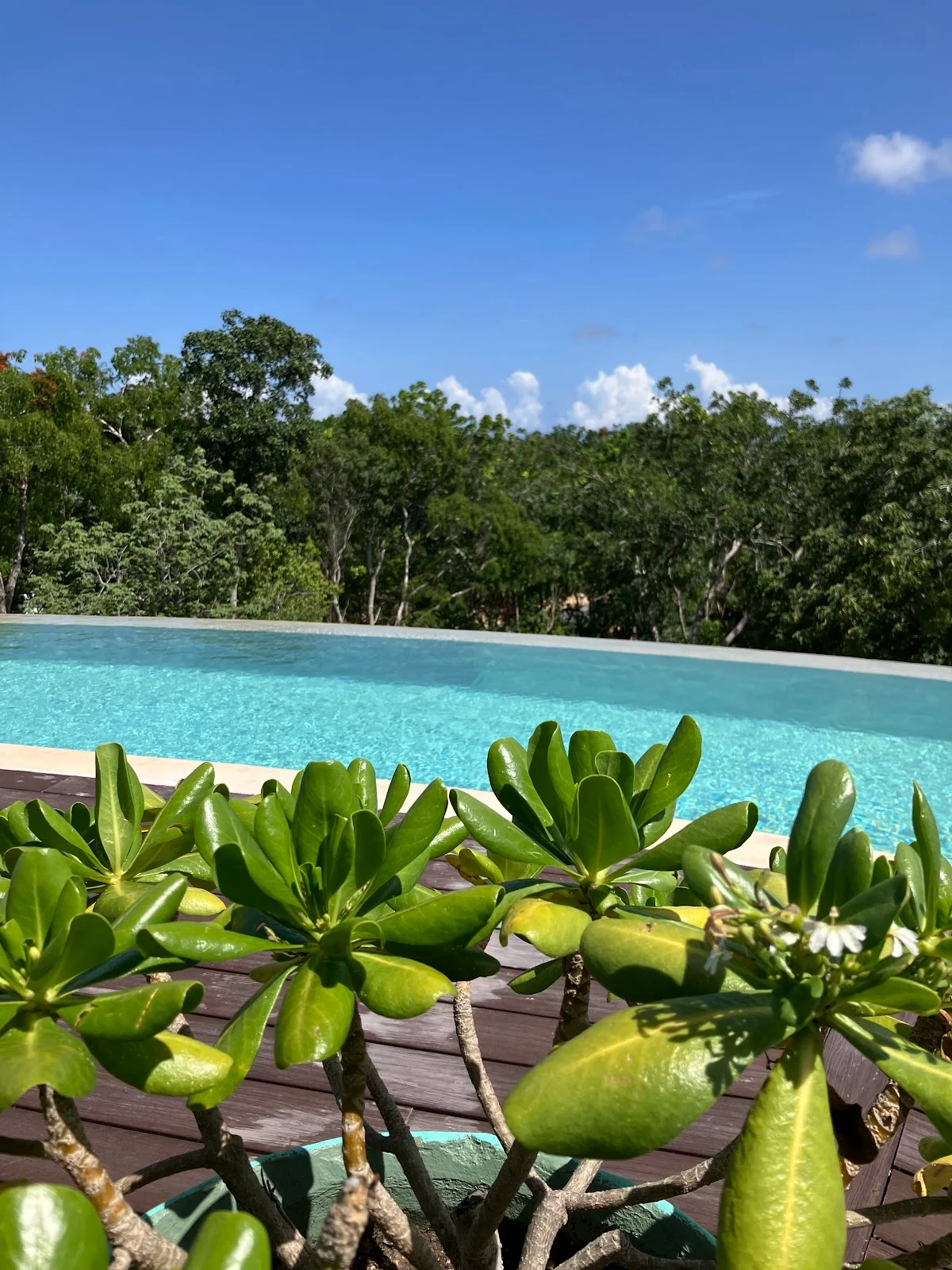 2 Bedroom Apartment in Tulum