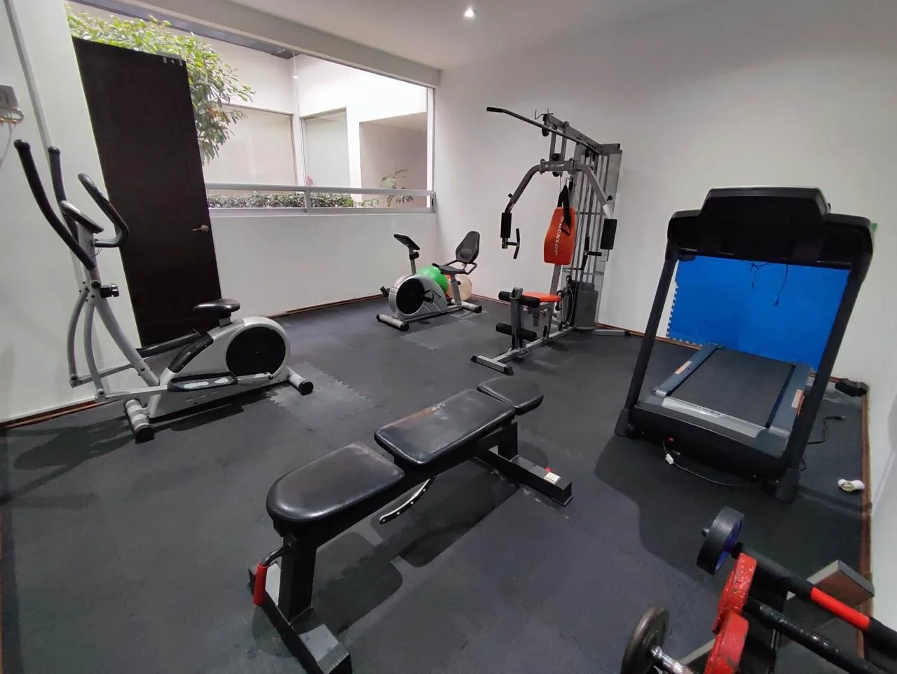 Furnished Apartment in Roma Sur