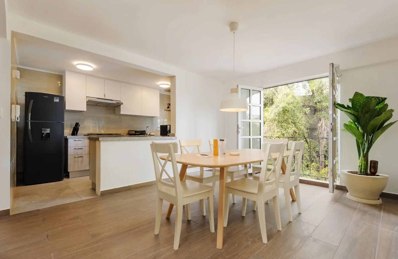 Furnished Apartment for Rent in Roma Norte