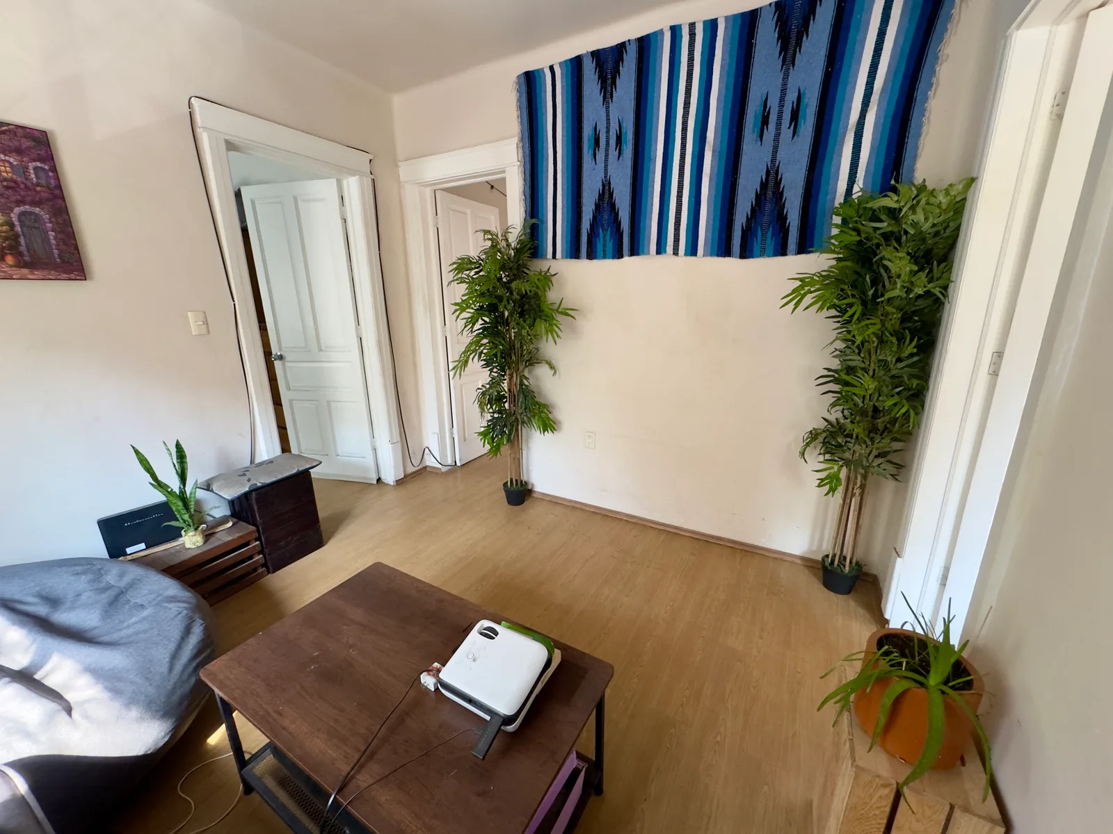 Apartment in Condesa