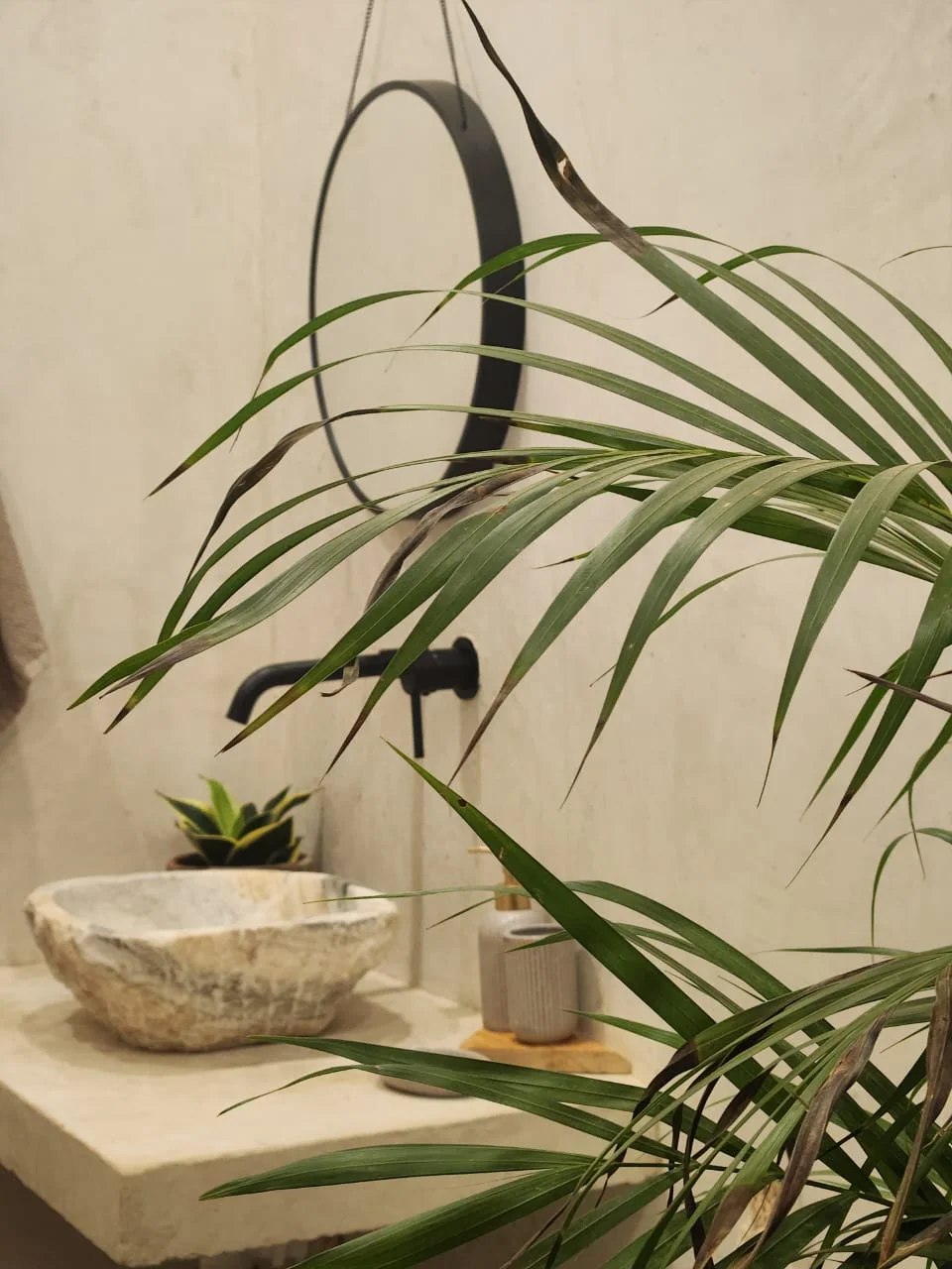 Room for Rent in Puerto Escondido
