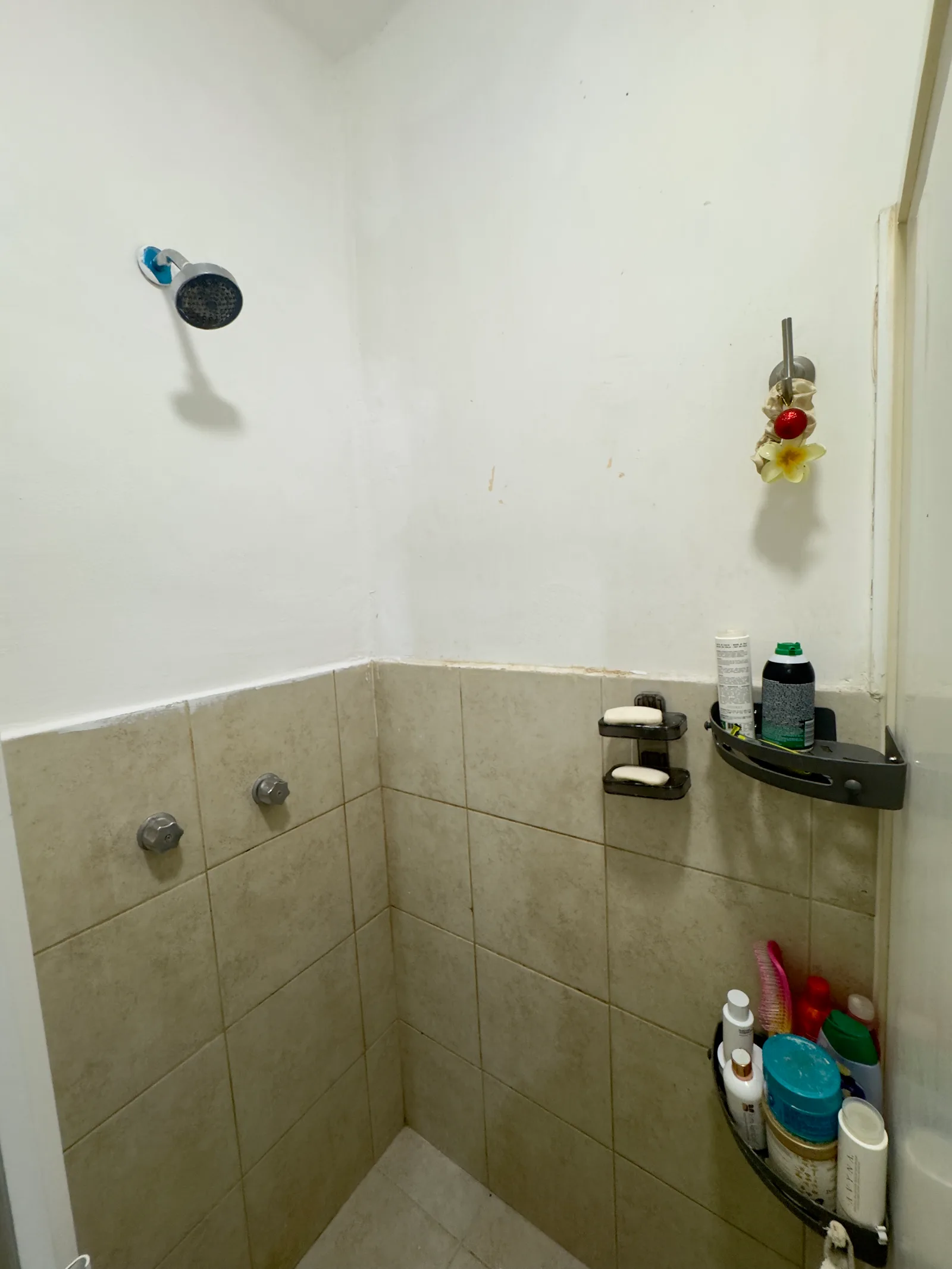 Apartment in Condesa