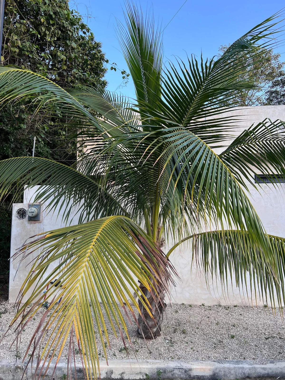 Villa in Holistika Veleta Tulum | 2 Bedrooms with Pool