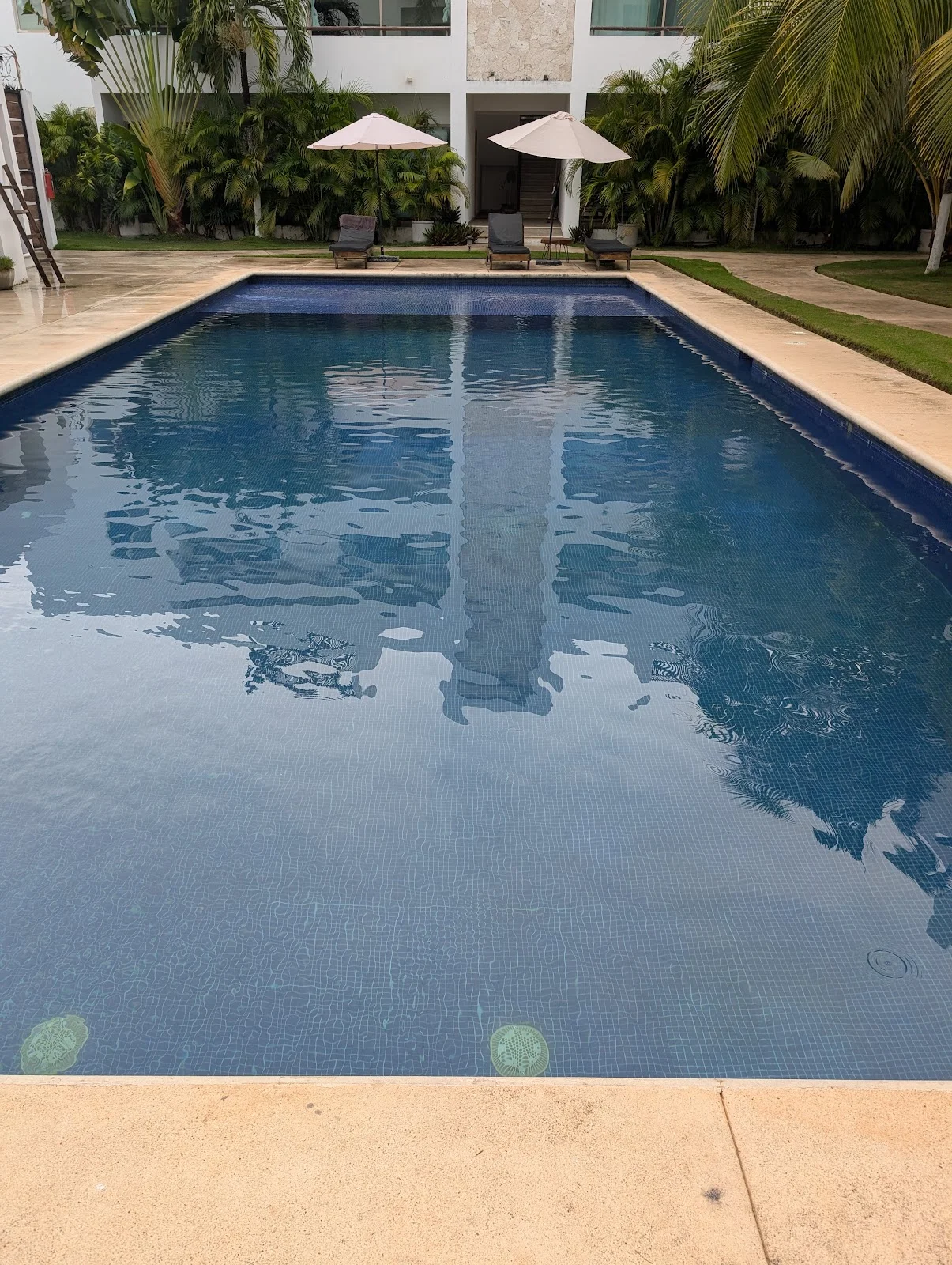 2 Bedroom Apartment in Tulum Selva Norte