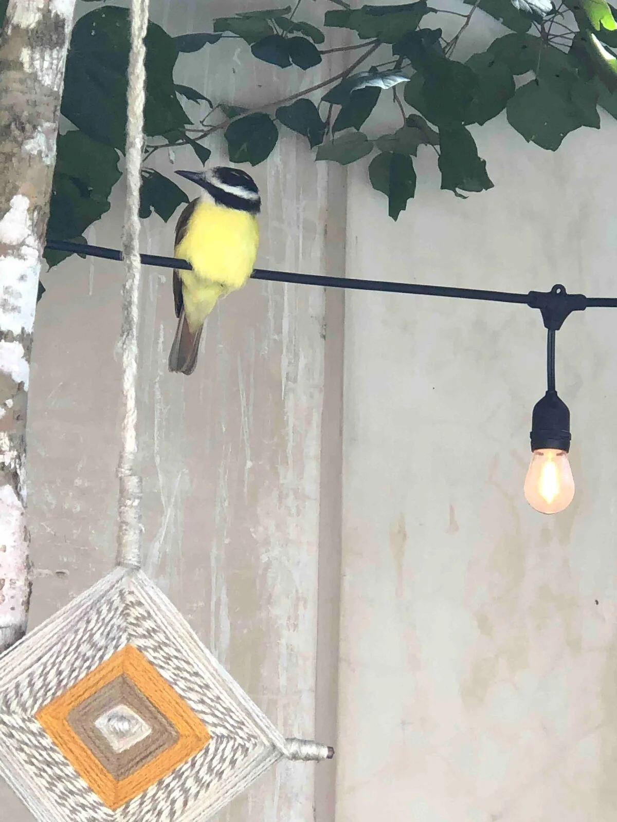 Villa in Holistika Veleta Tulum | 2 Bedrooms with Pool