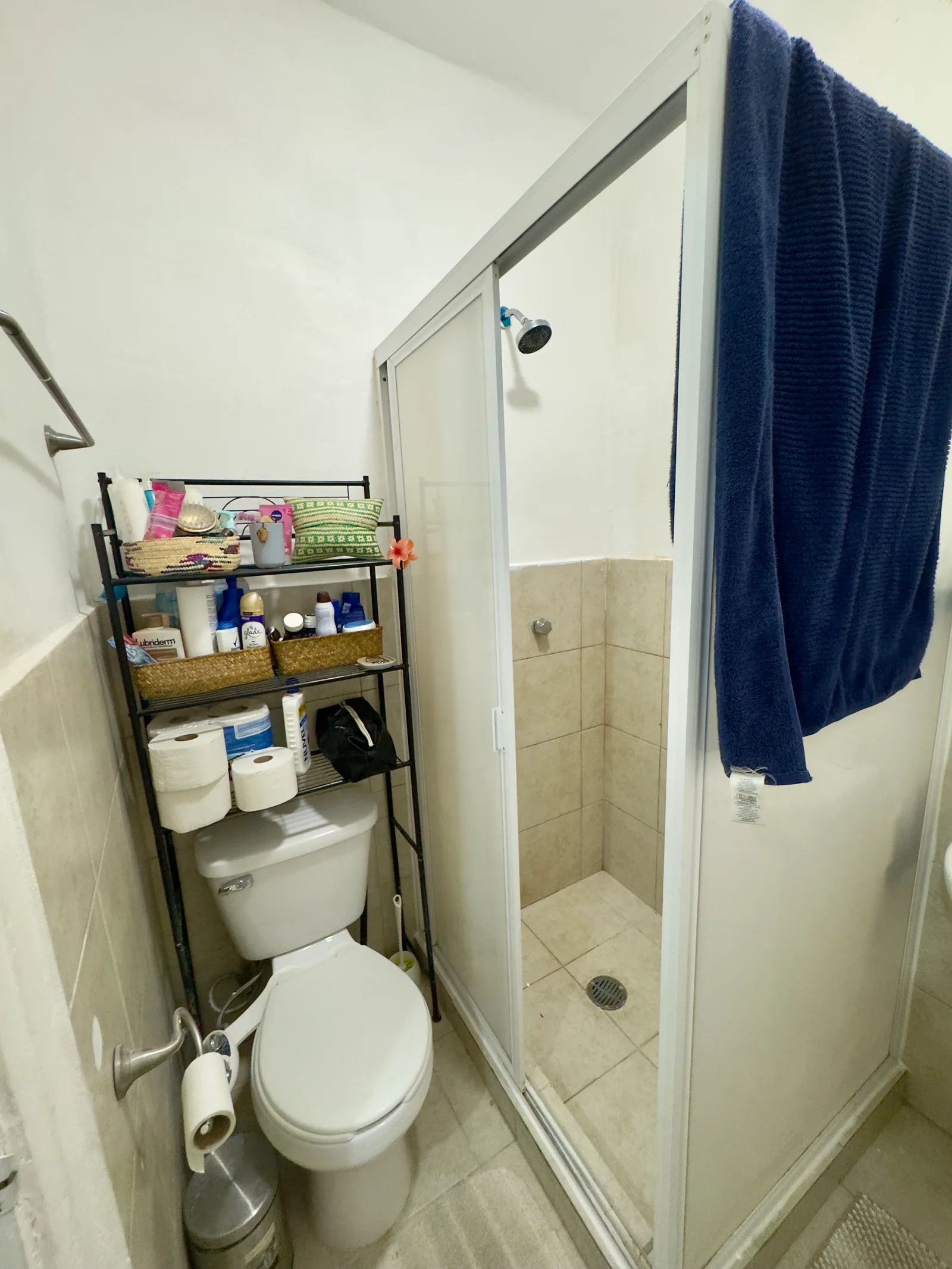 Apartment in Condesa
