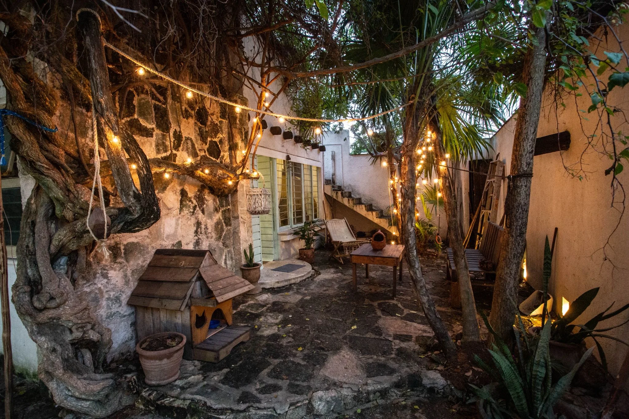 House for Rent in Colosio Near Beach