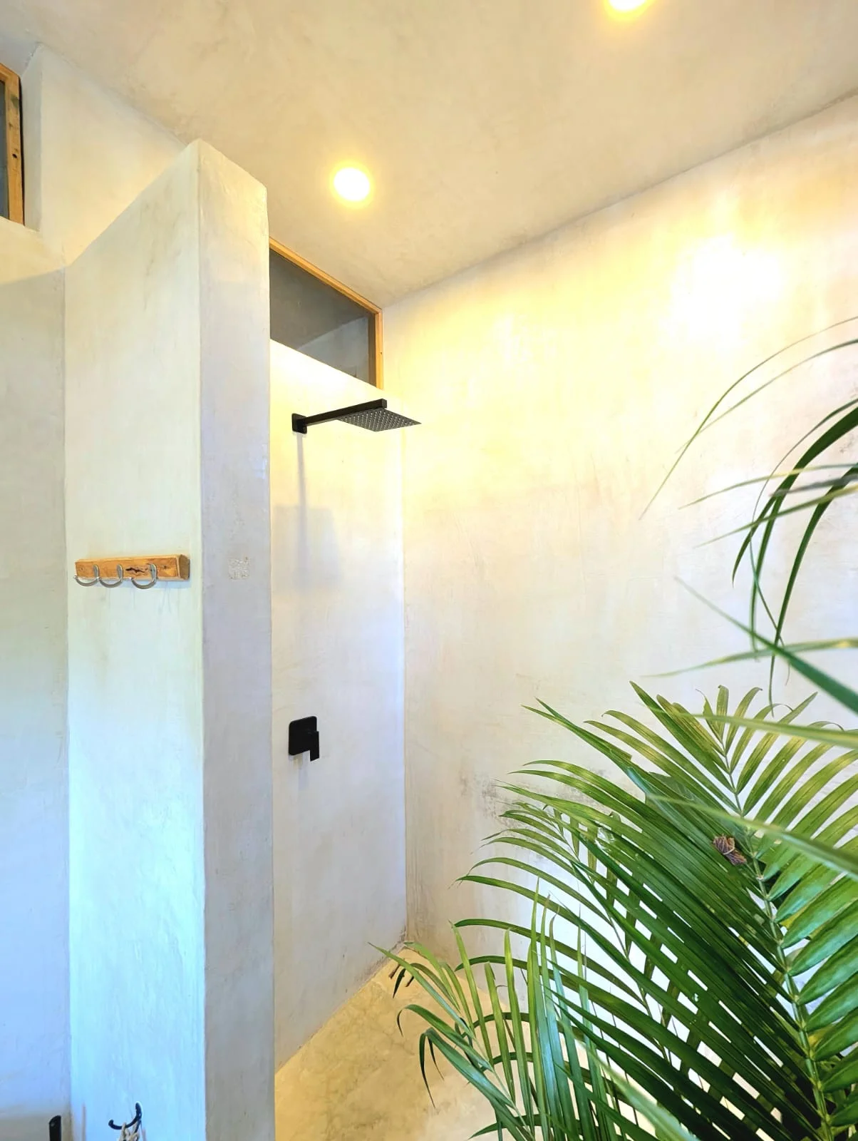 Room for Rent in Puerto Escondido