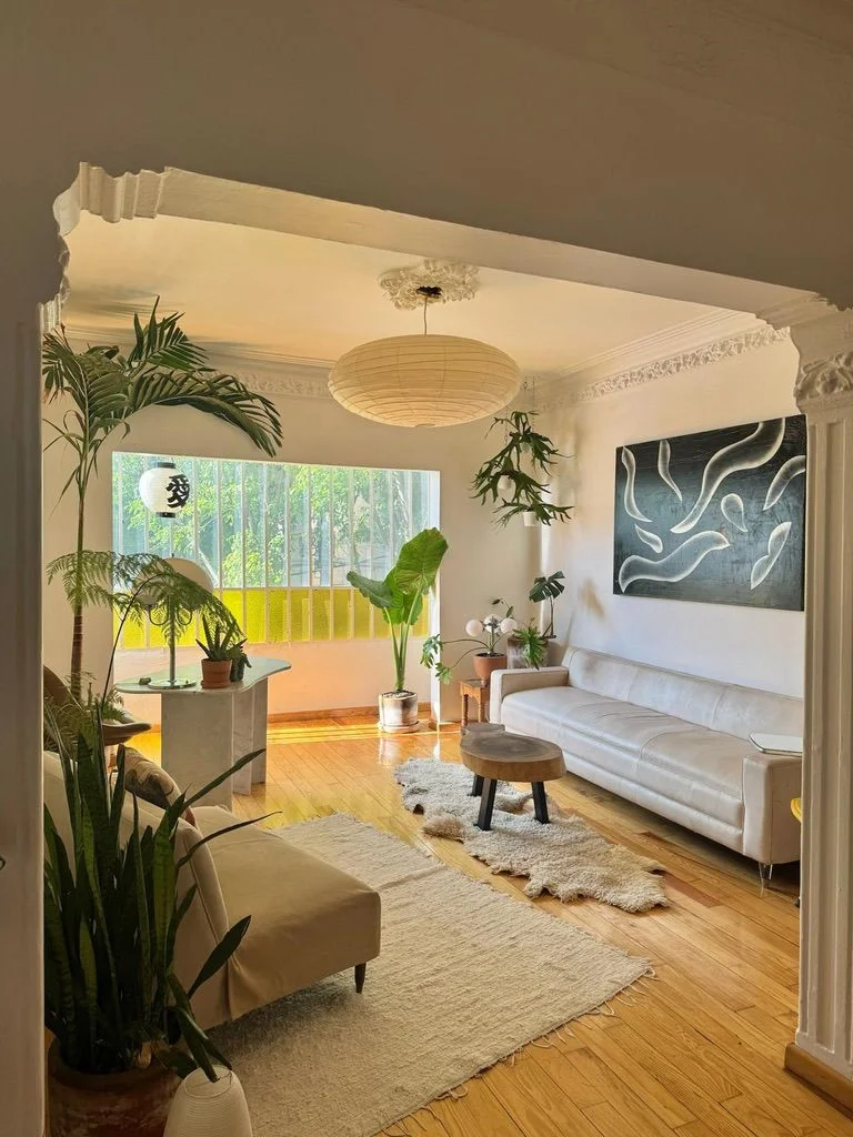 Private Room in Mexico City