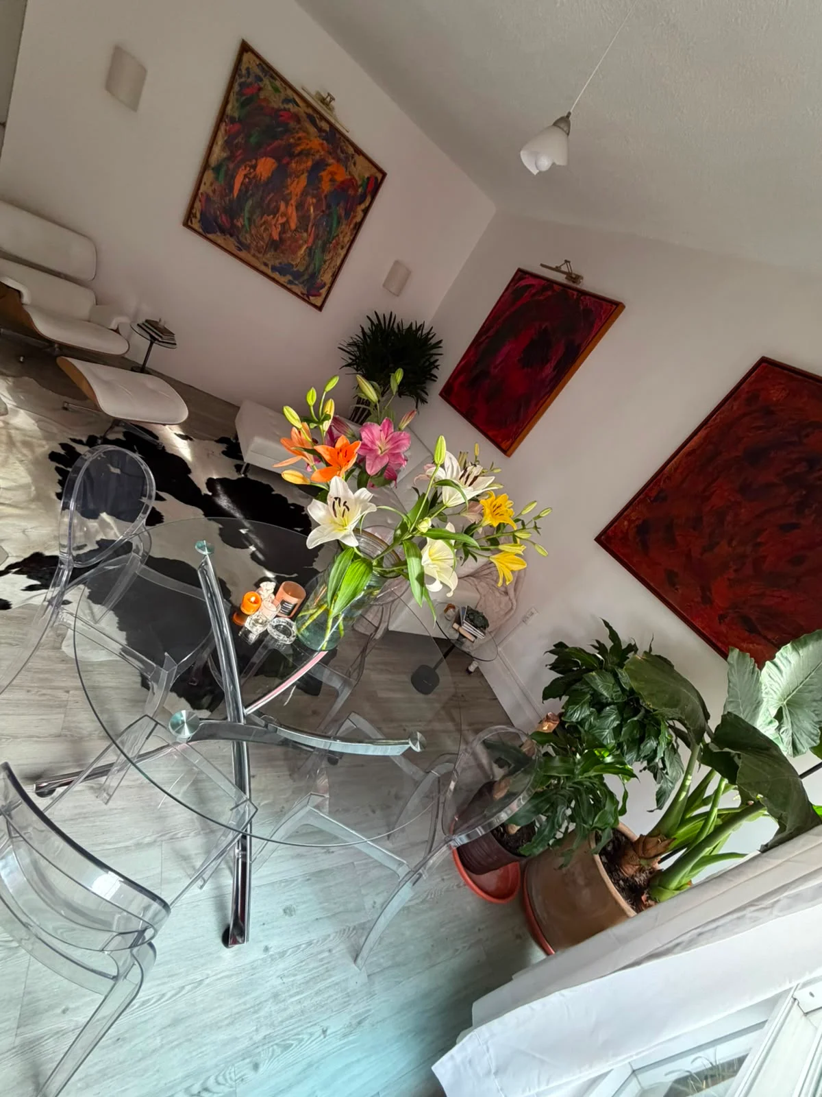 Studio Apartment in Mexico City