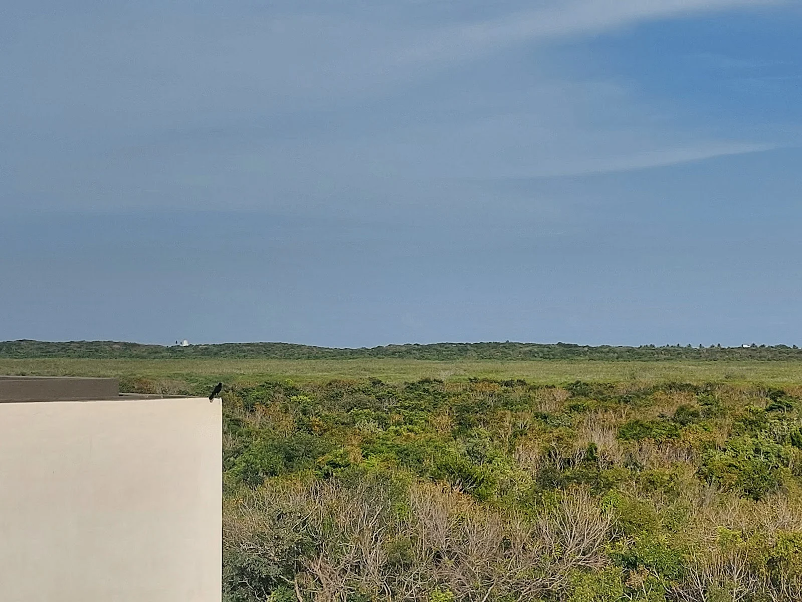 2 Bedroom Apartment in Samsara Tulum