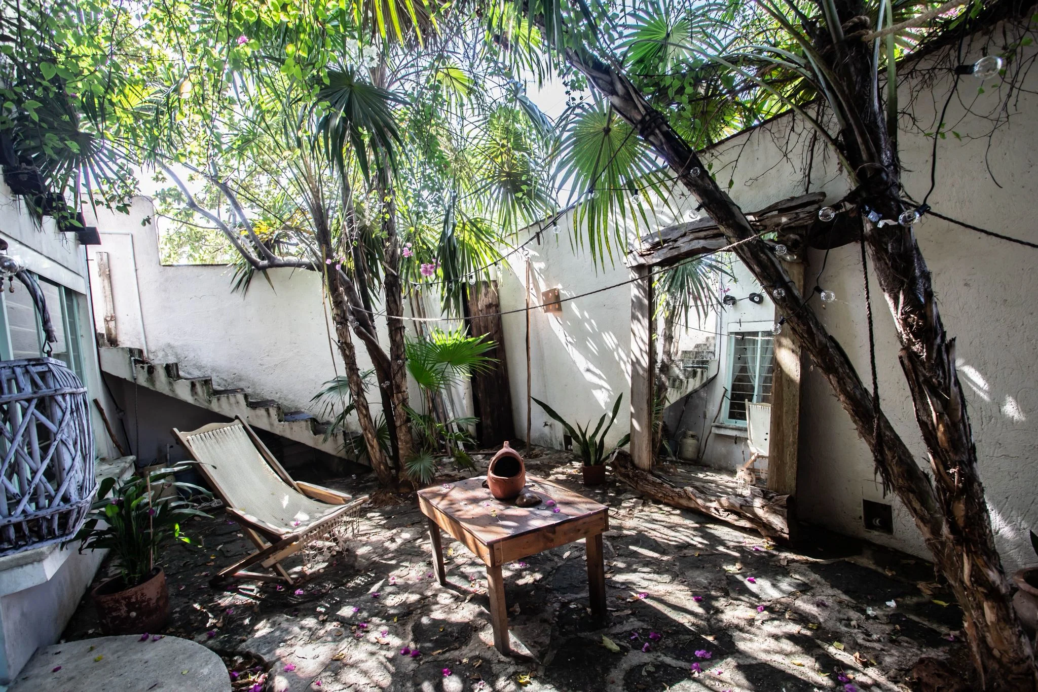 House for Rent in Colosio Near Beach